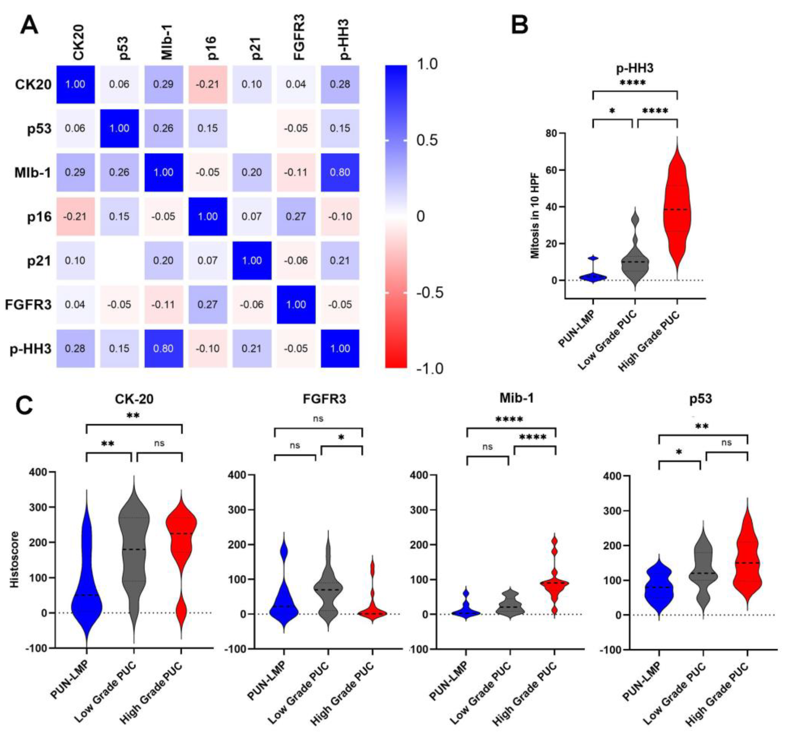 Ijms 23 08133 g002 550