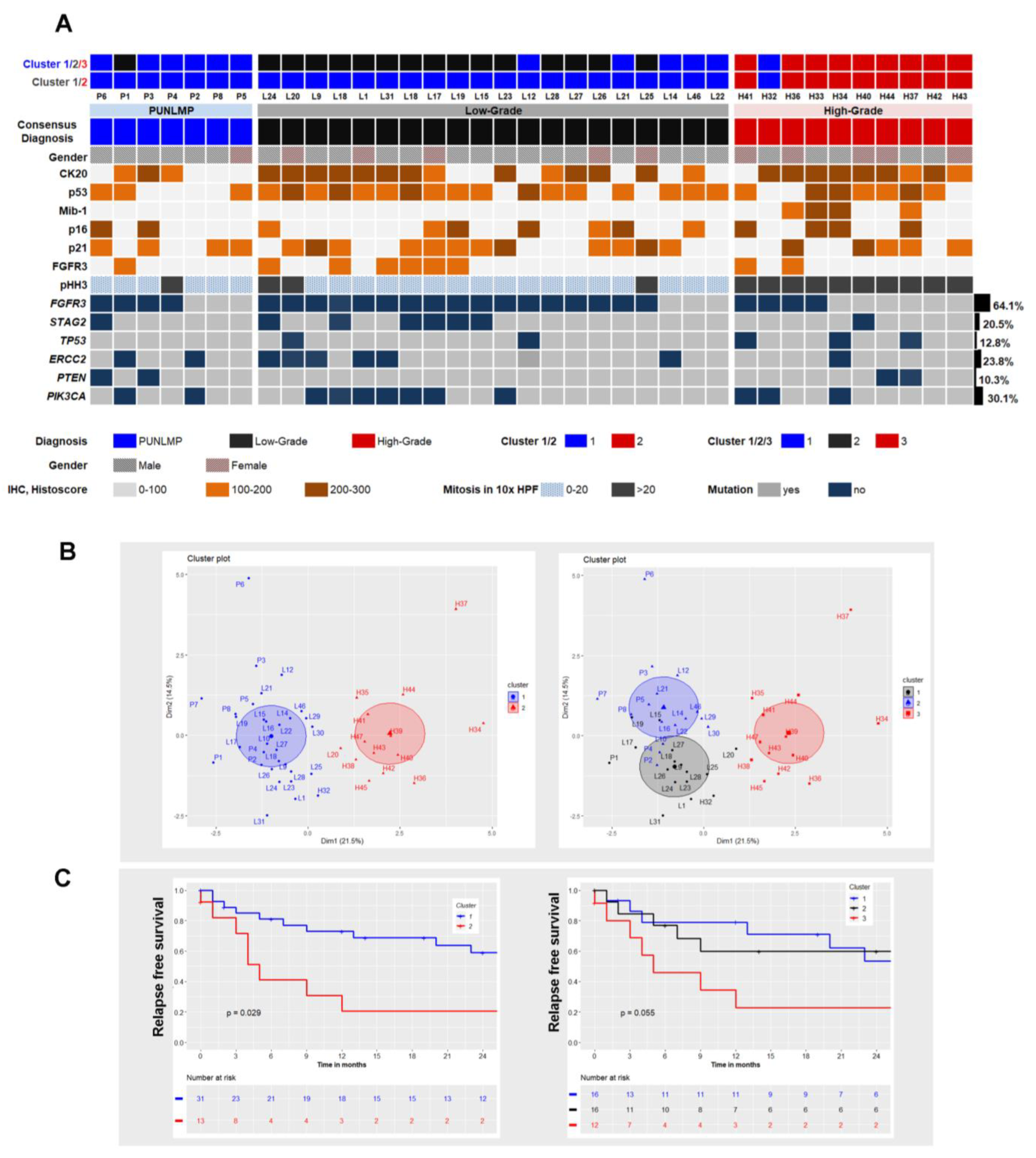 Ijms 23 08133 g003 550