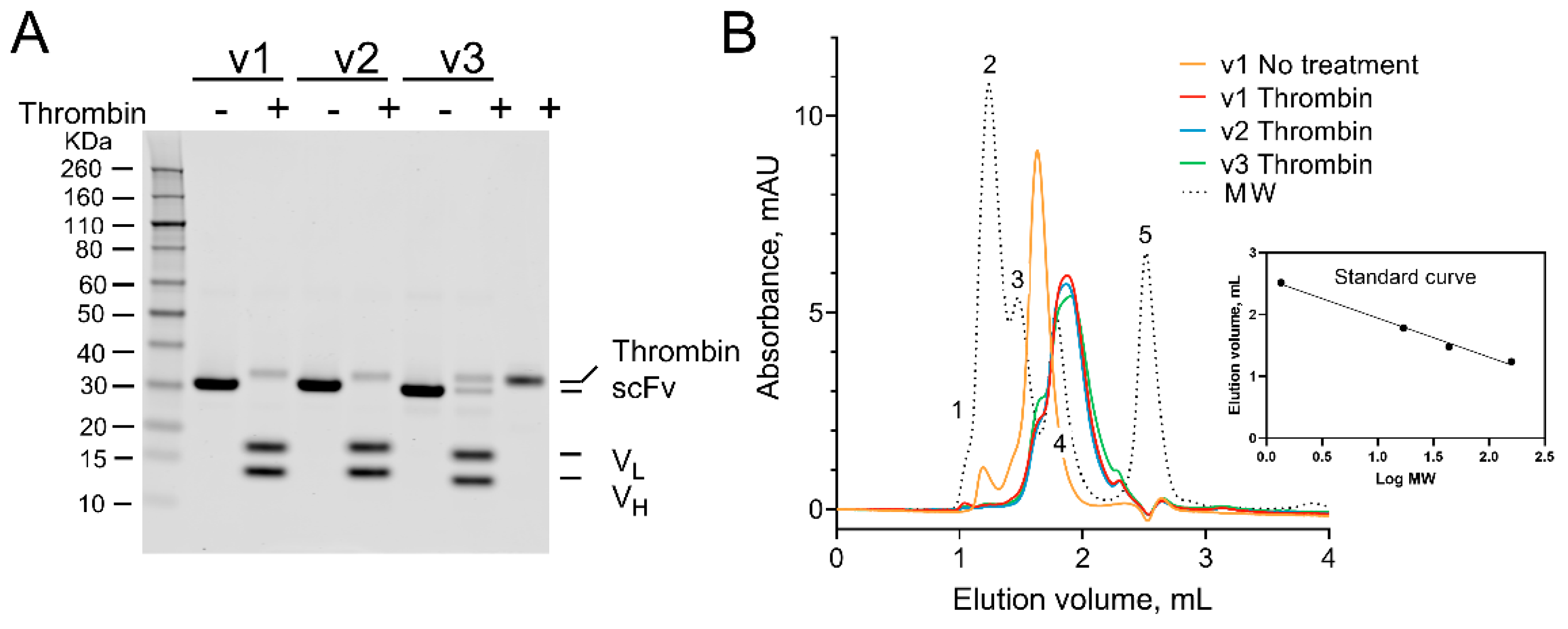 Ijms 23 08134 g003 Ijms 23 08134 g003