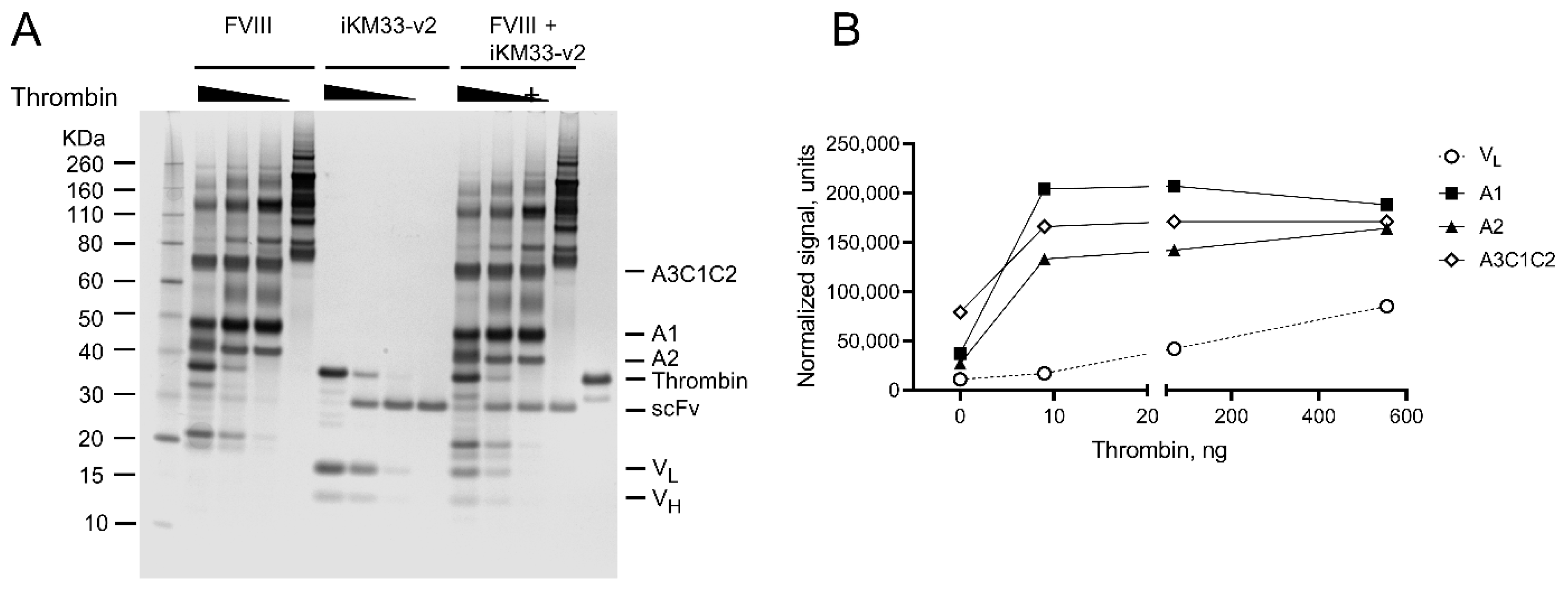 Ijms 23 08134 g004 Ijms 23 08134 g004