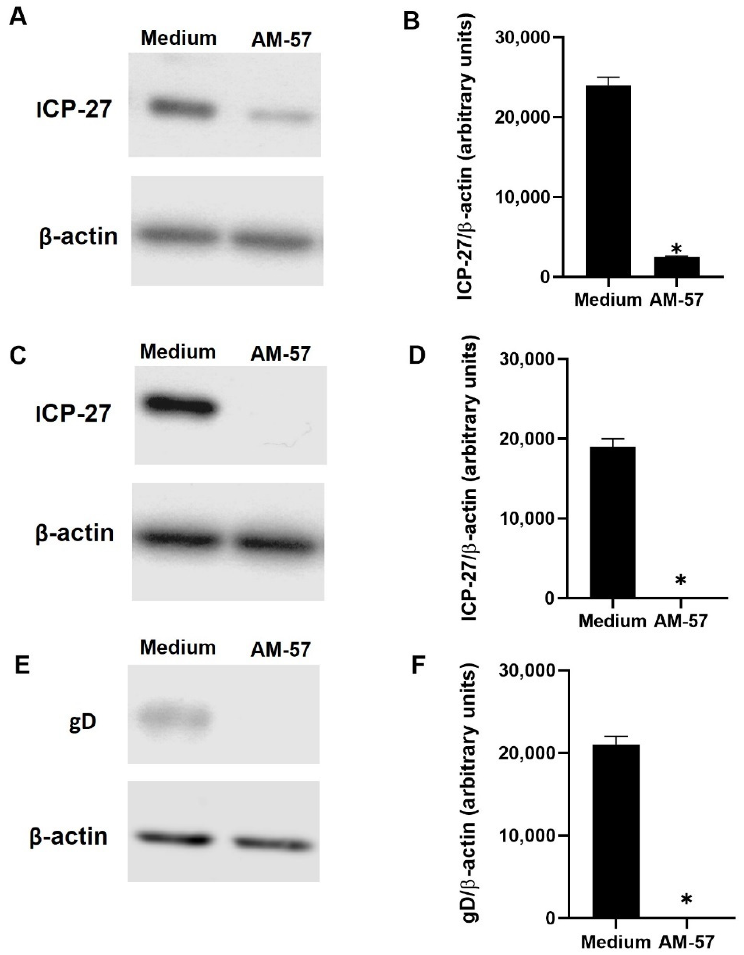 Ijms 23 08135 g004 Ijms 23 08135 g004