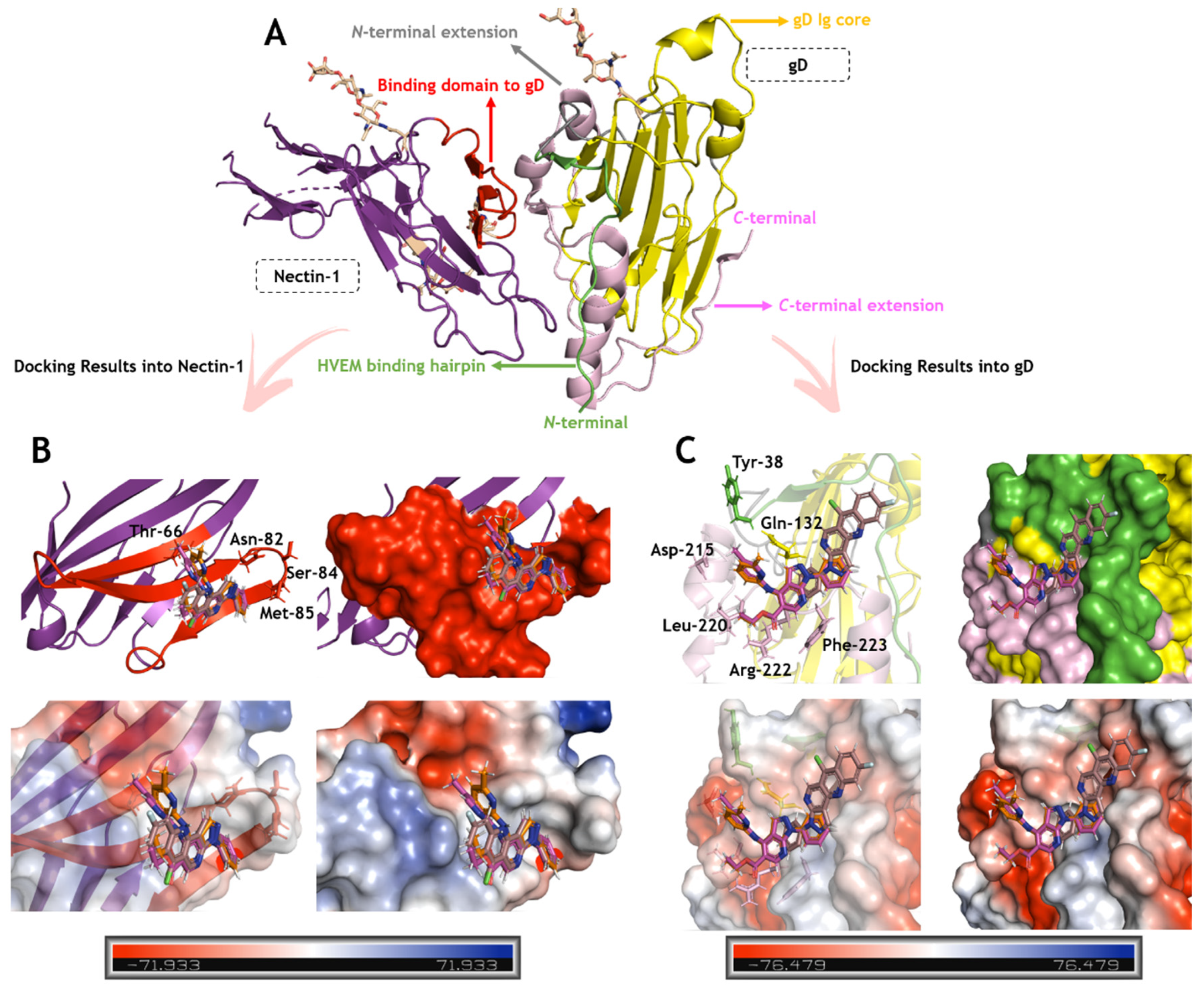 Ijms 23 08135 g005 Ijms 23 08135 g005