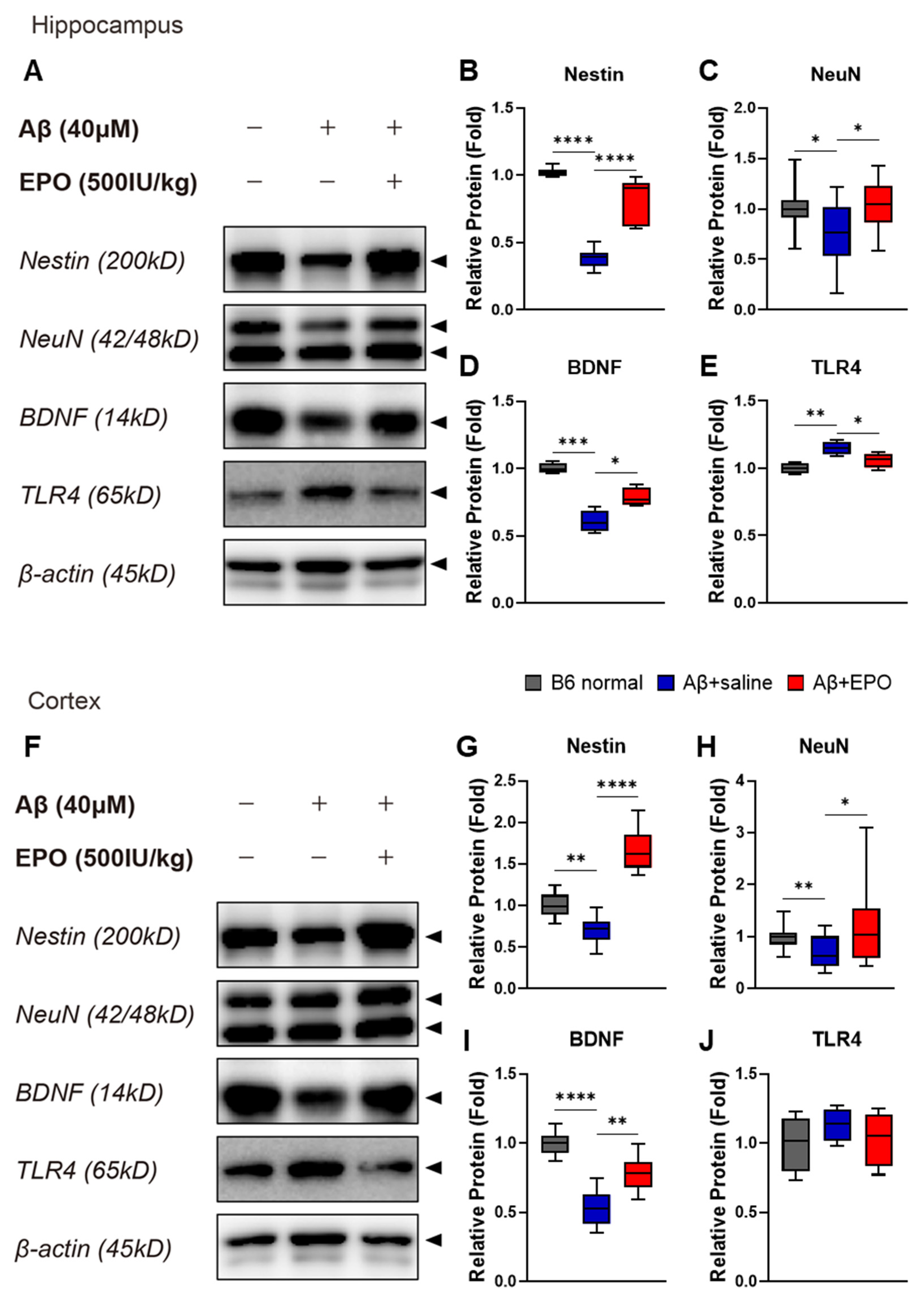 Ijms 23 08144 g005 550