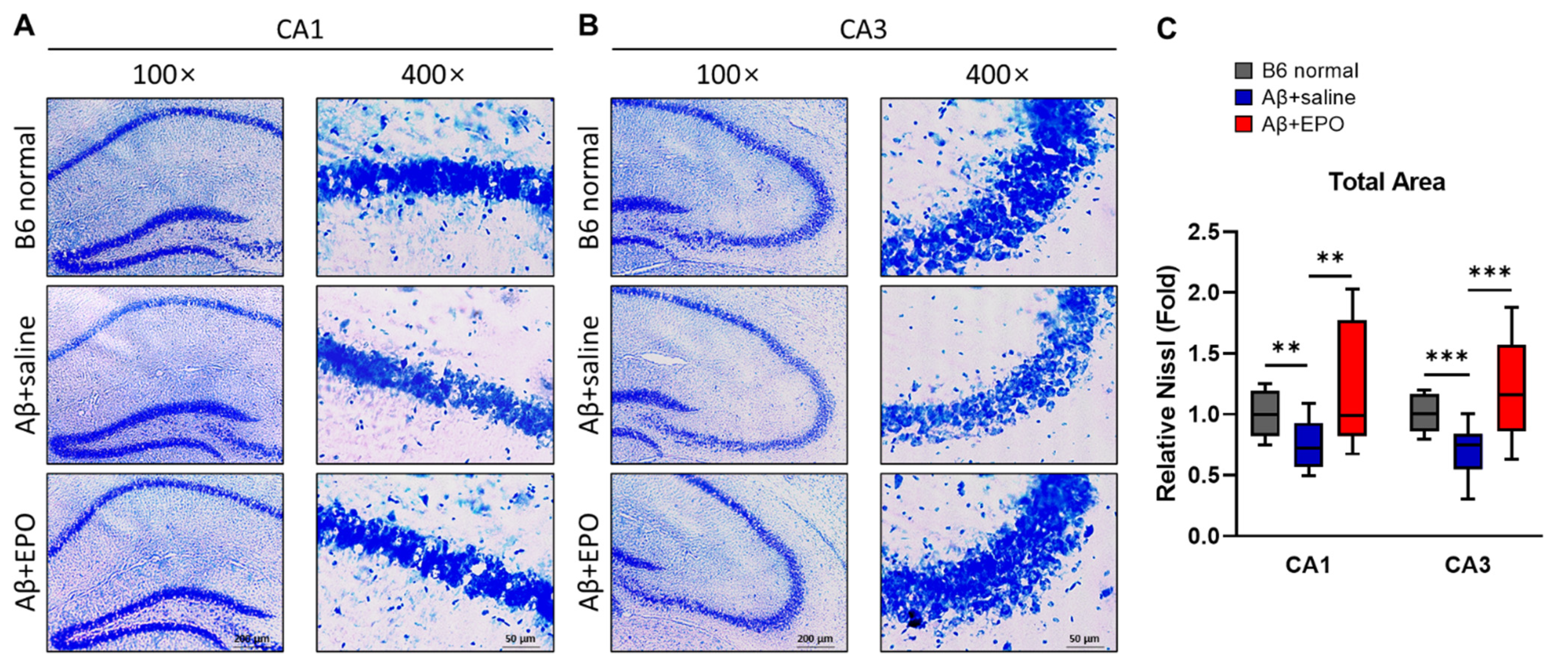 Ijms 23 08144 g006 550