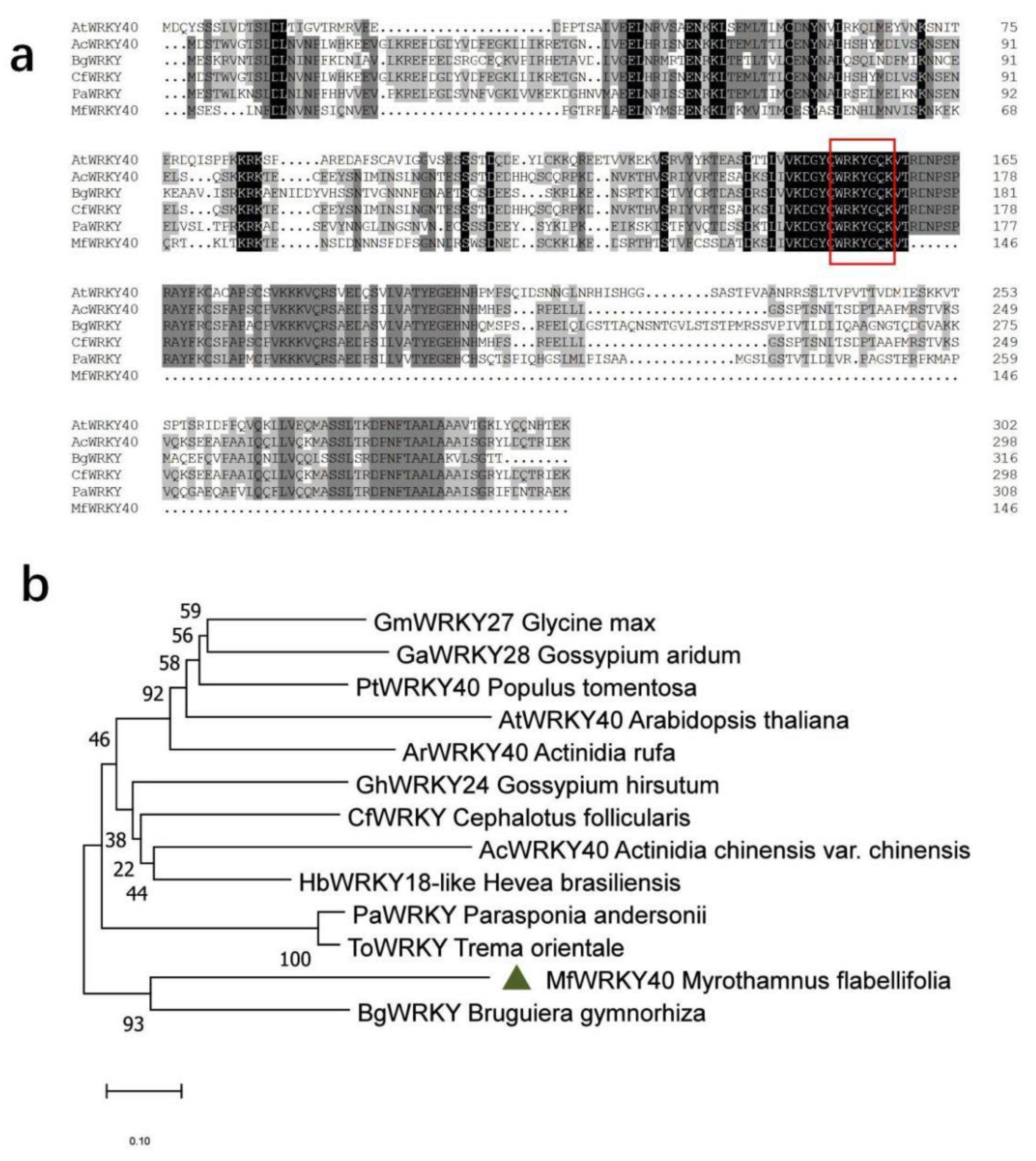 Ijms 23 08145 g001 550