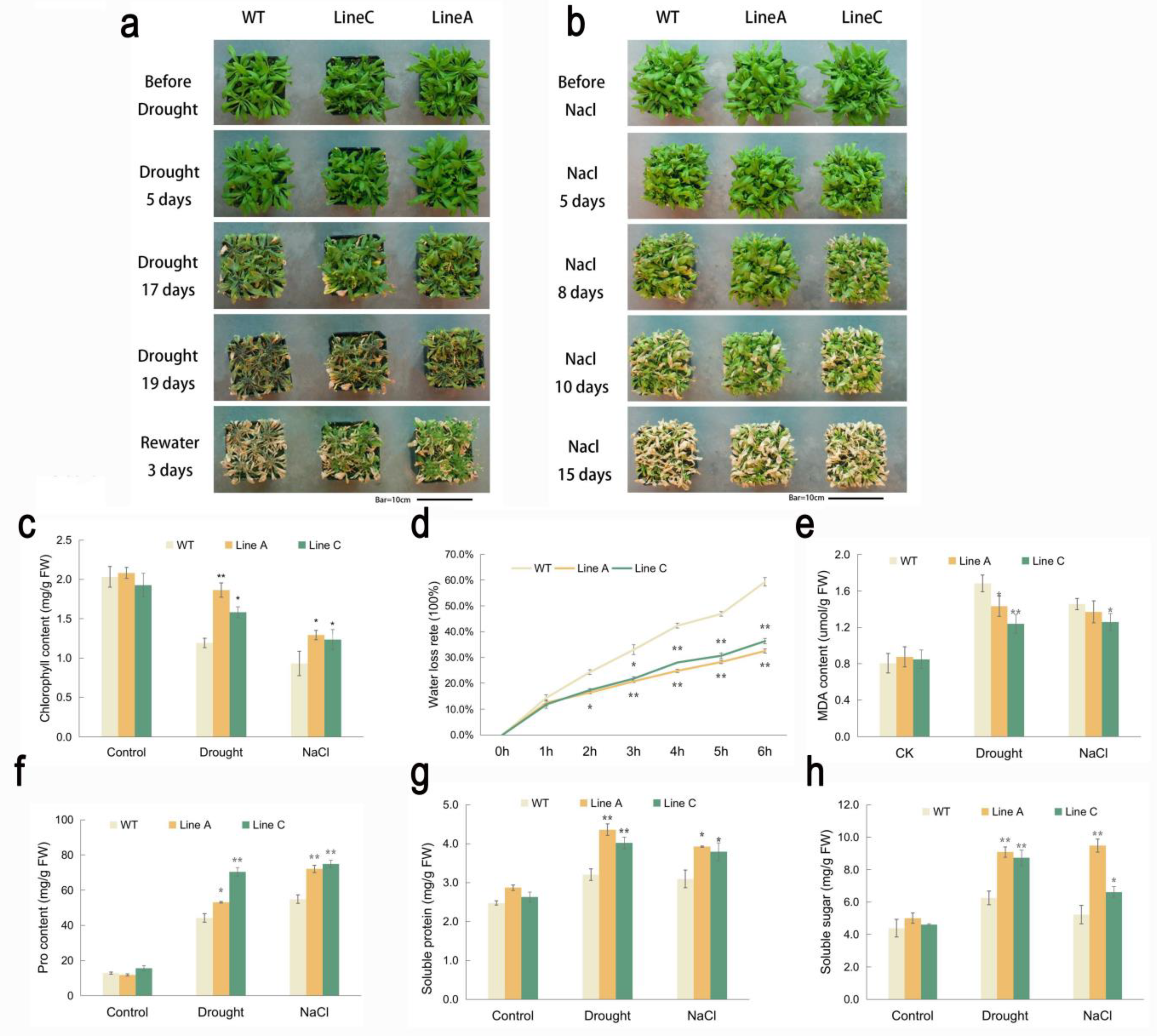 Ijms 23 08145 g004 550