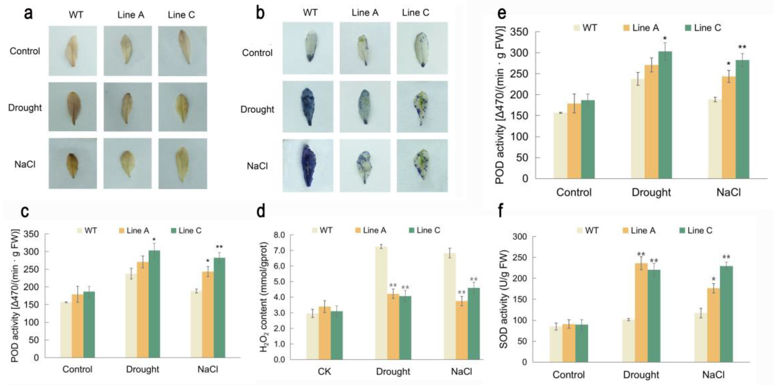 Ijms 23 08145 g005 550