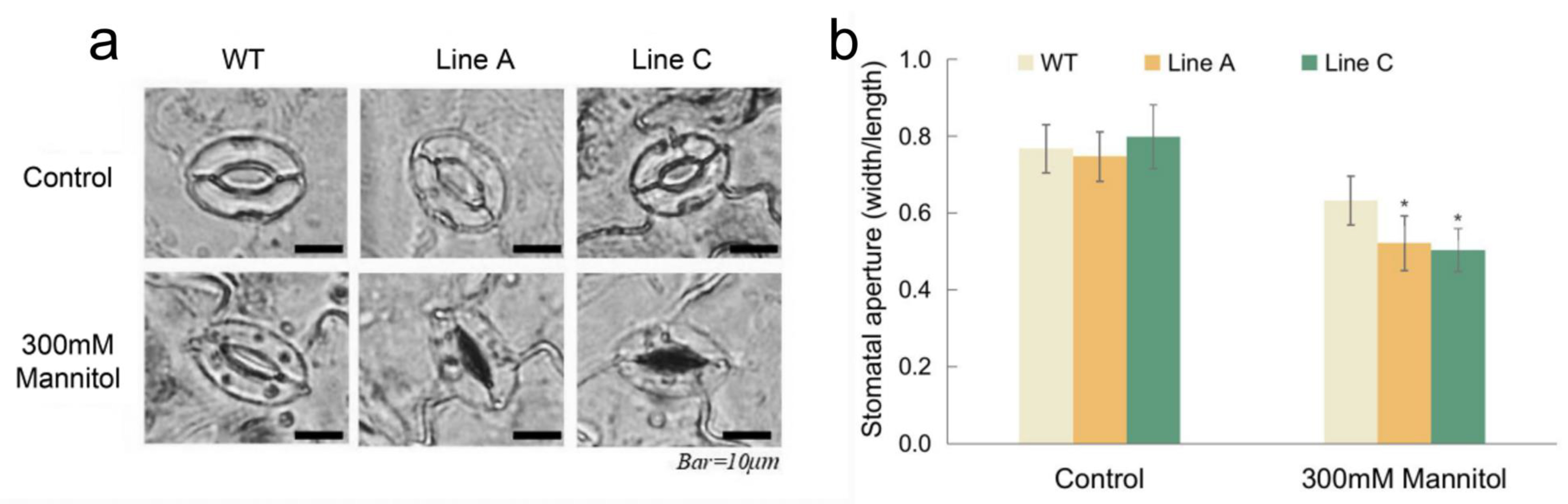Ijms 23 08145 g006 550