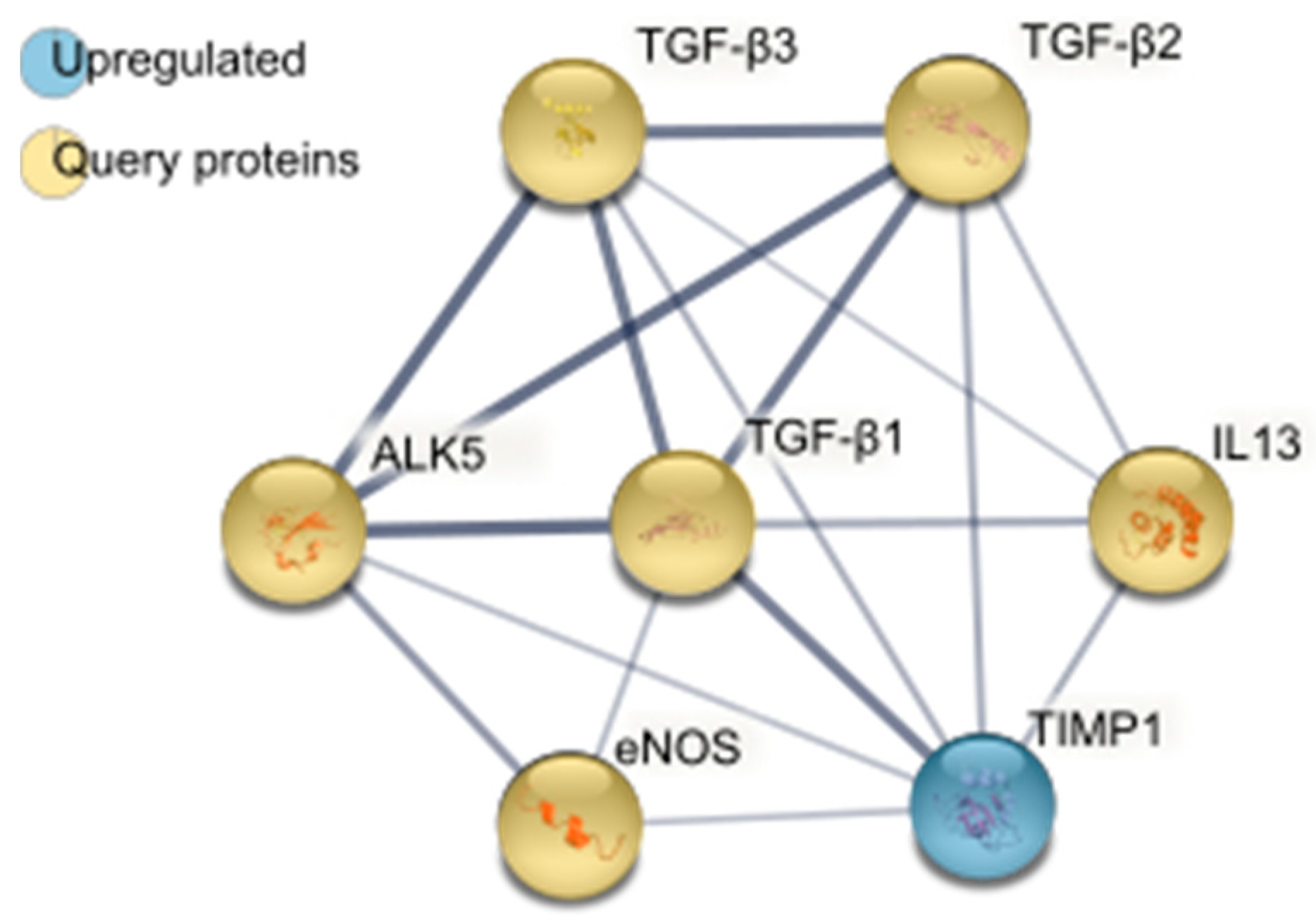 Ijms 23 08147 g004 550