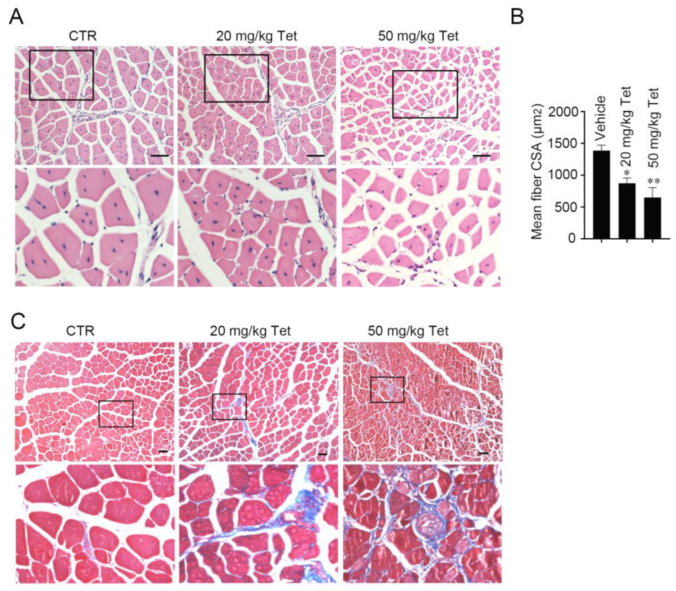 Ijms 23 08148 g002 550