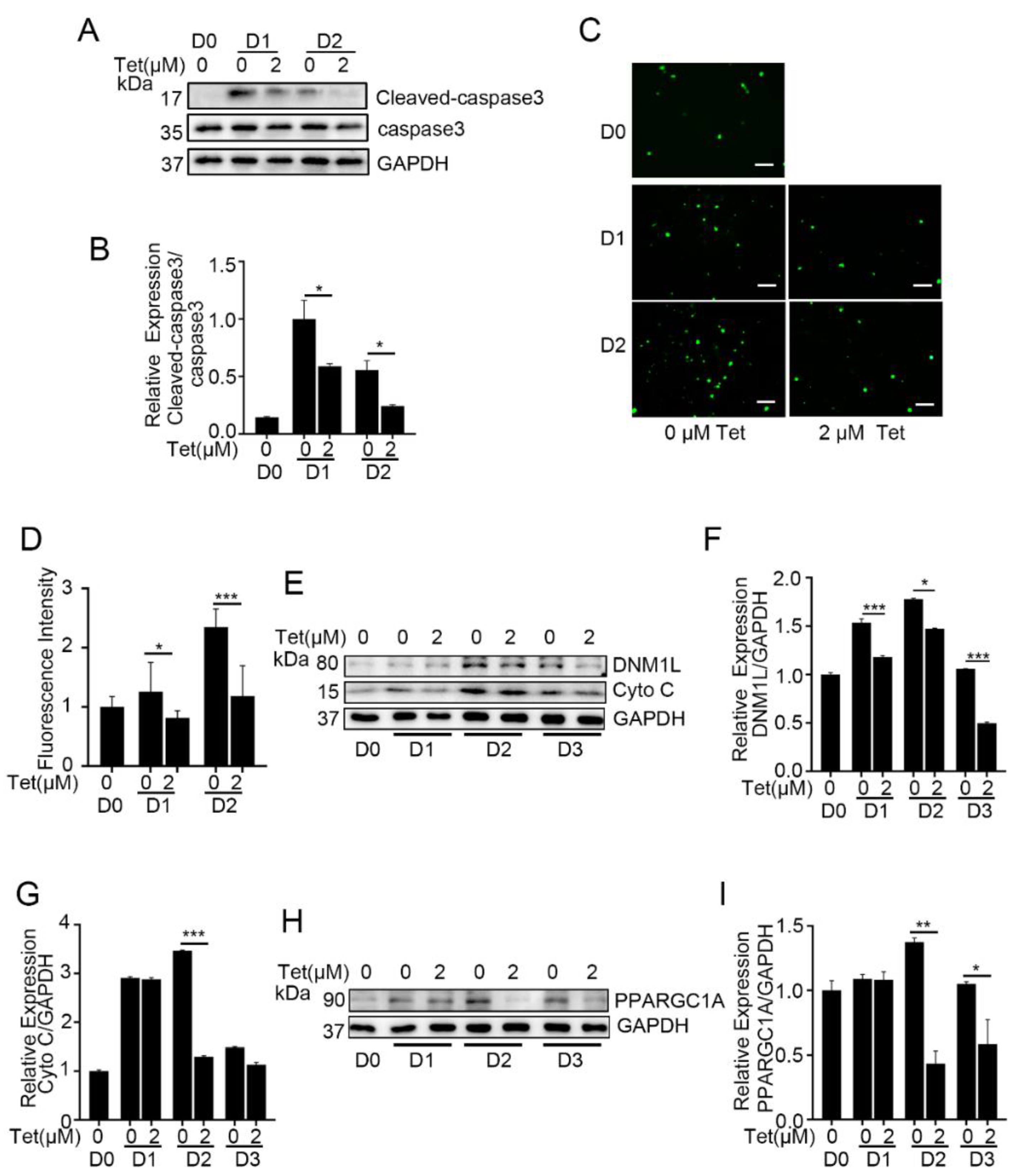 Ijms 23 08148 g005 550