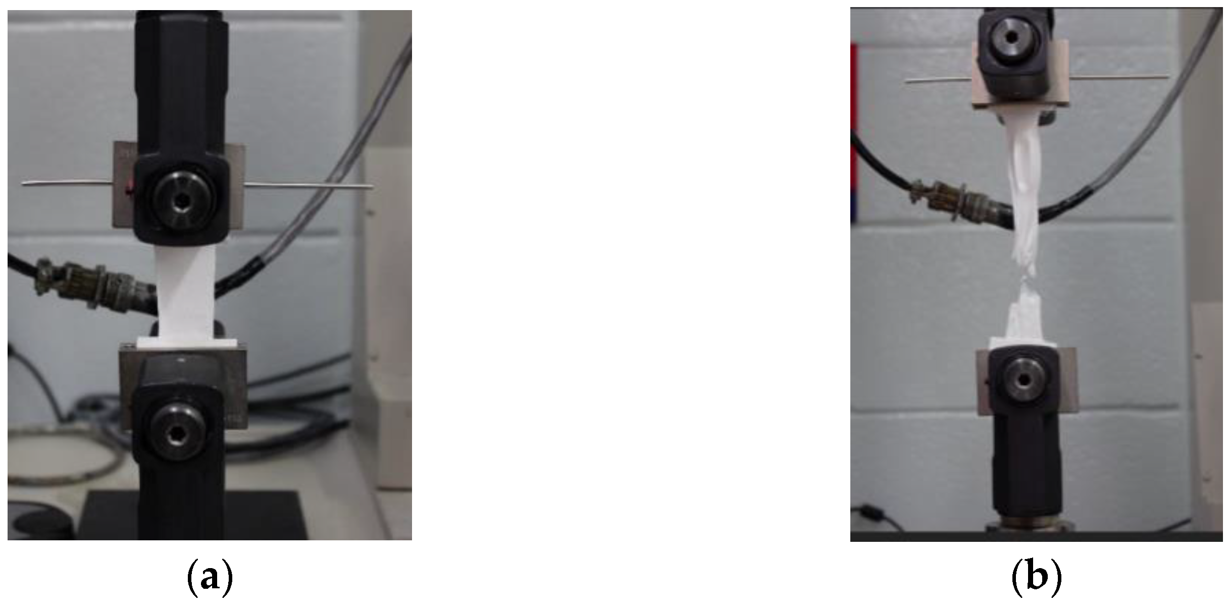 Ijms 23 08149 g006 550