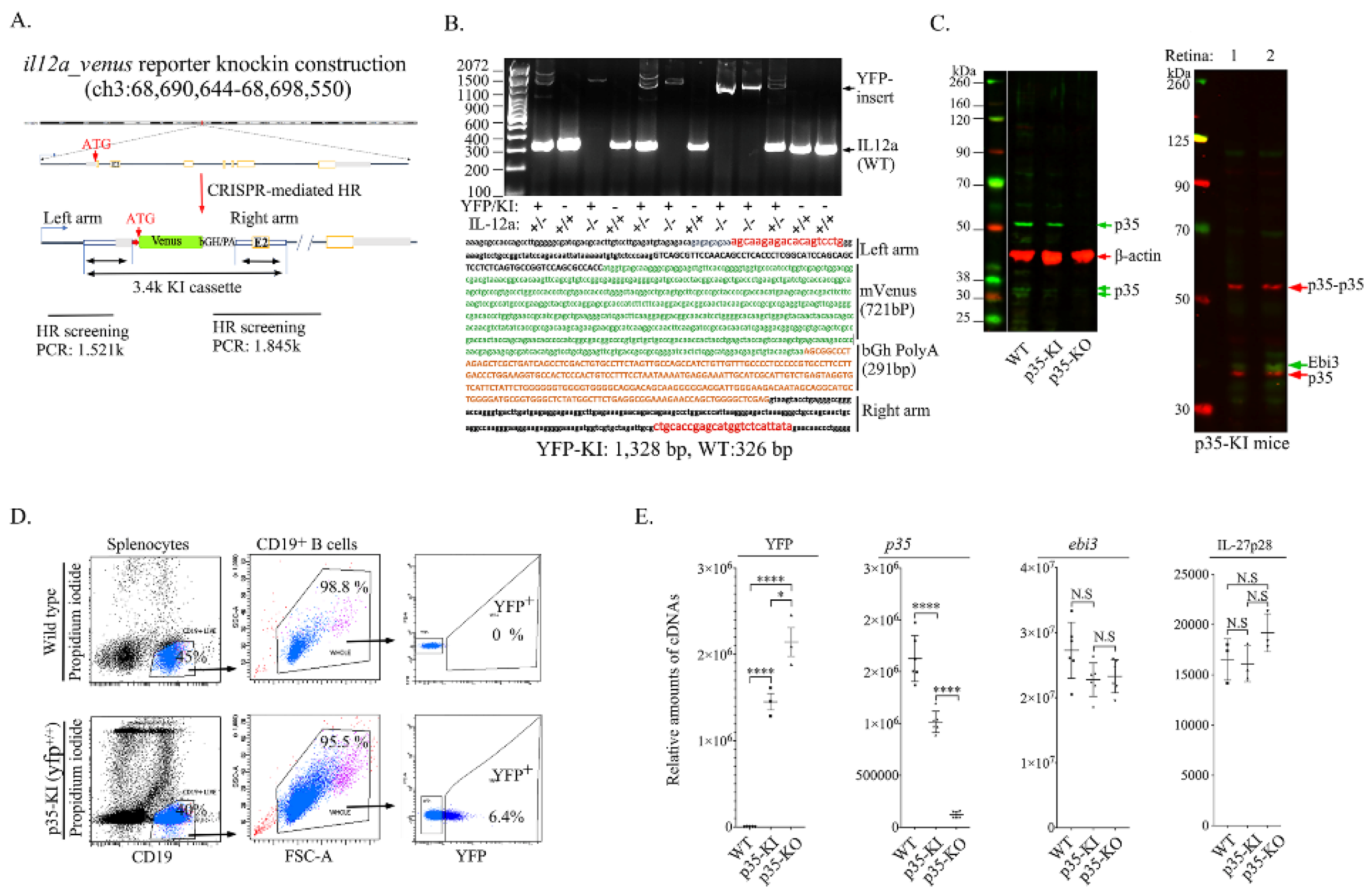 Ijms 23 08156 g001 550