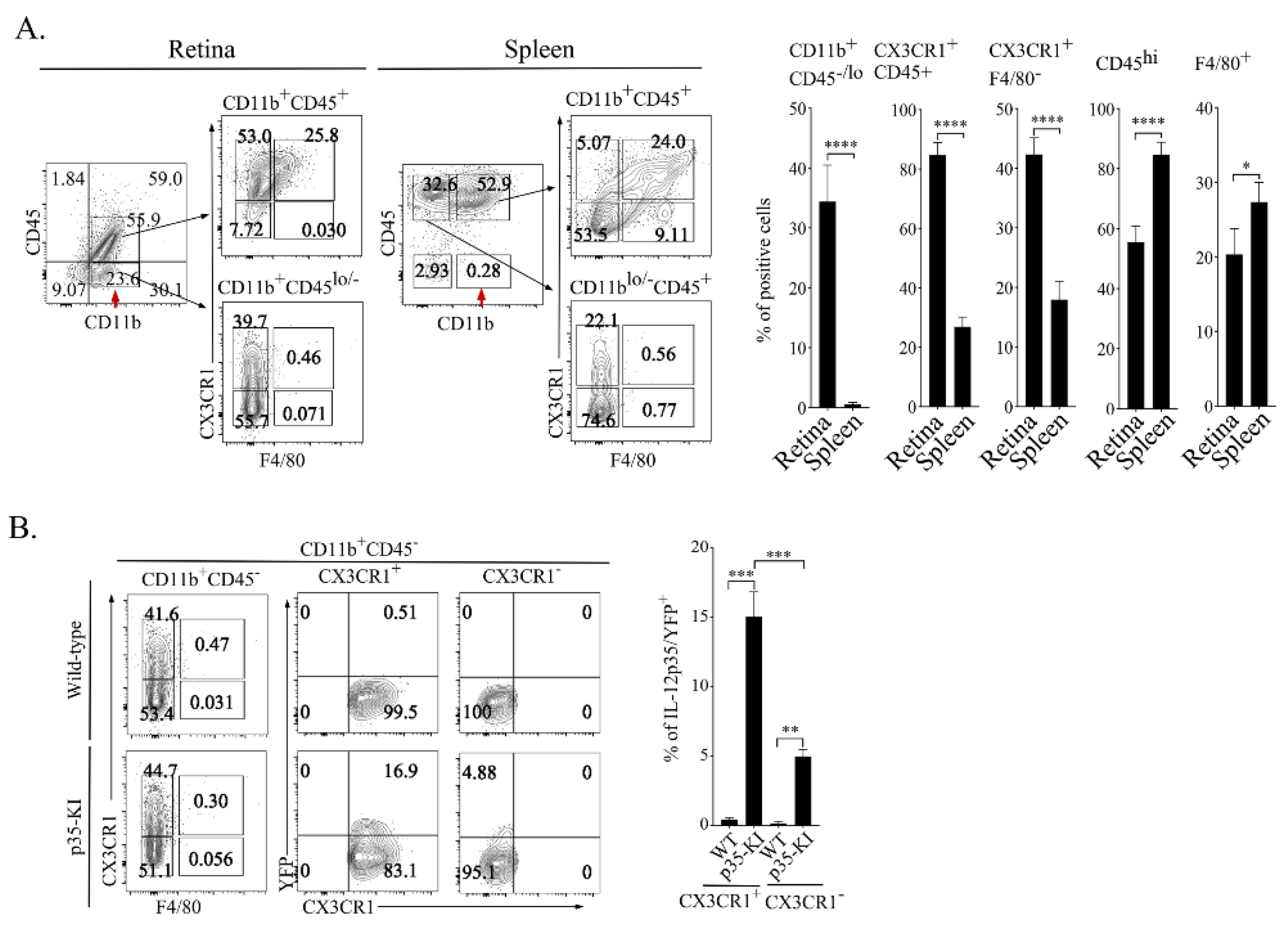 Ijms 23 08156 g002 550