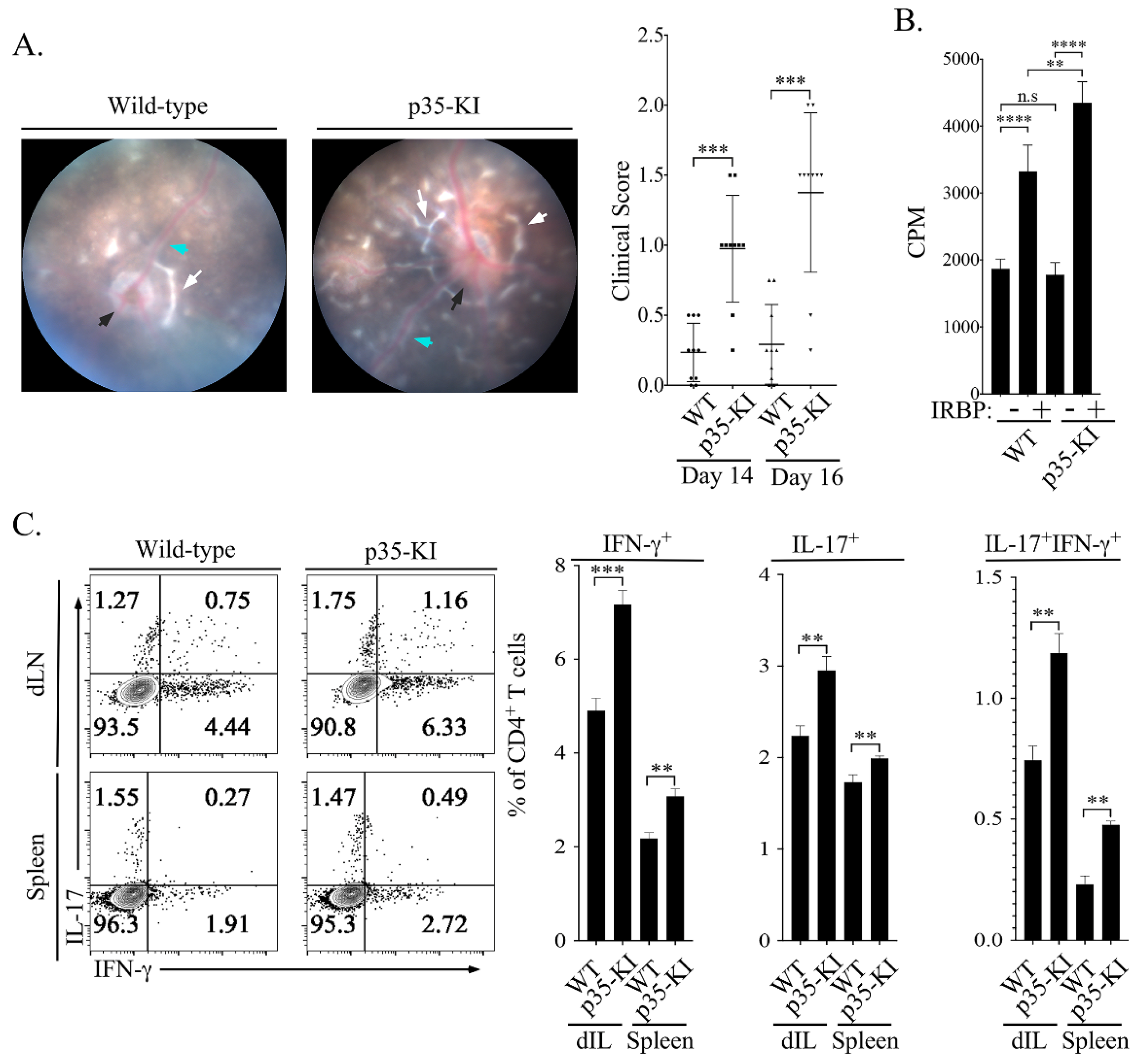 Ijms 23 08156 g004 550