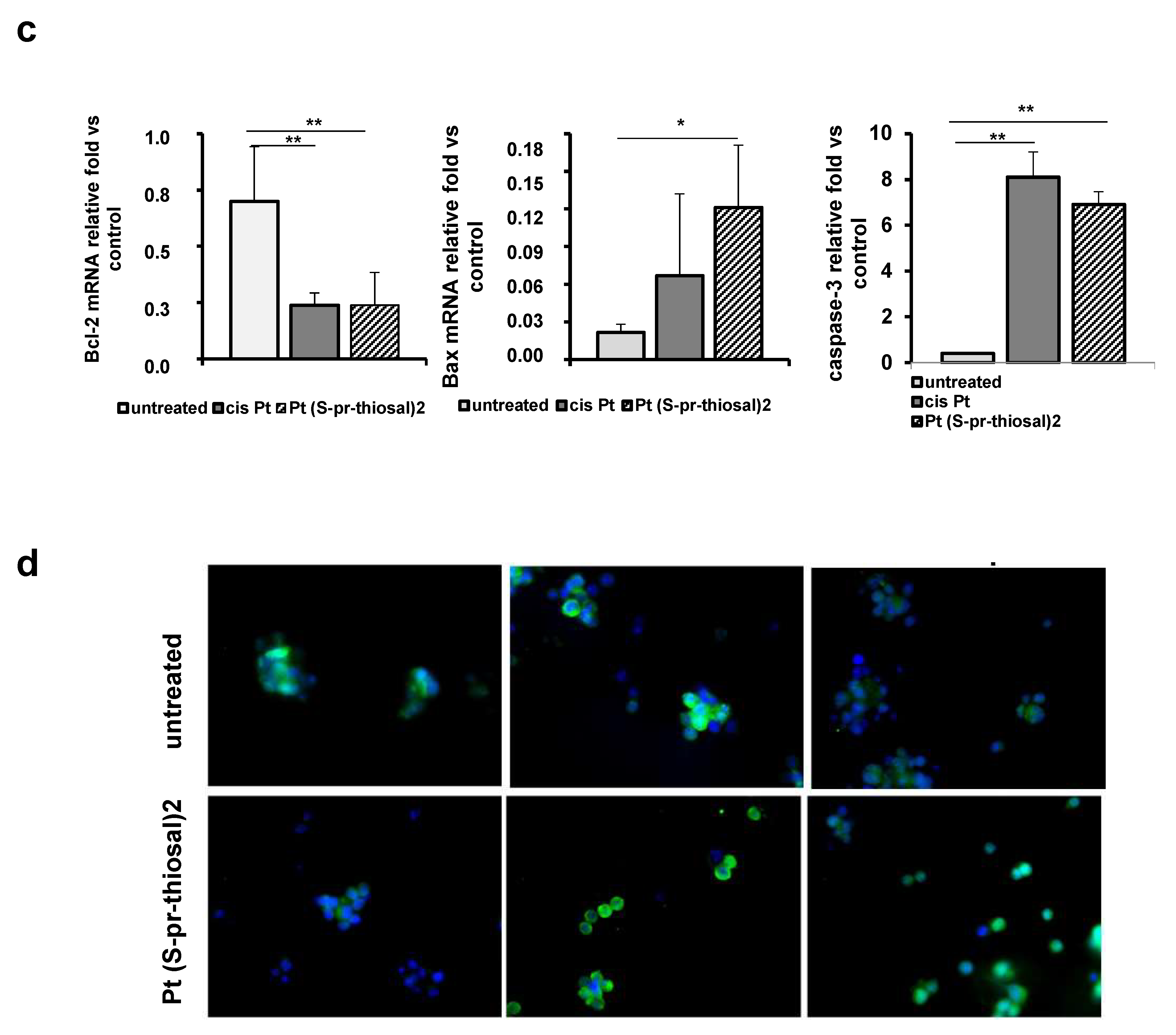 Ijms 23 08161 g002b Ijms 23 08161 g002b
