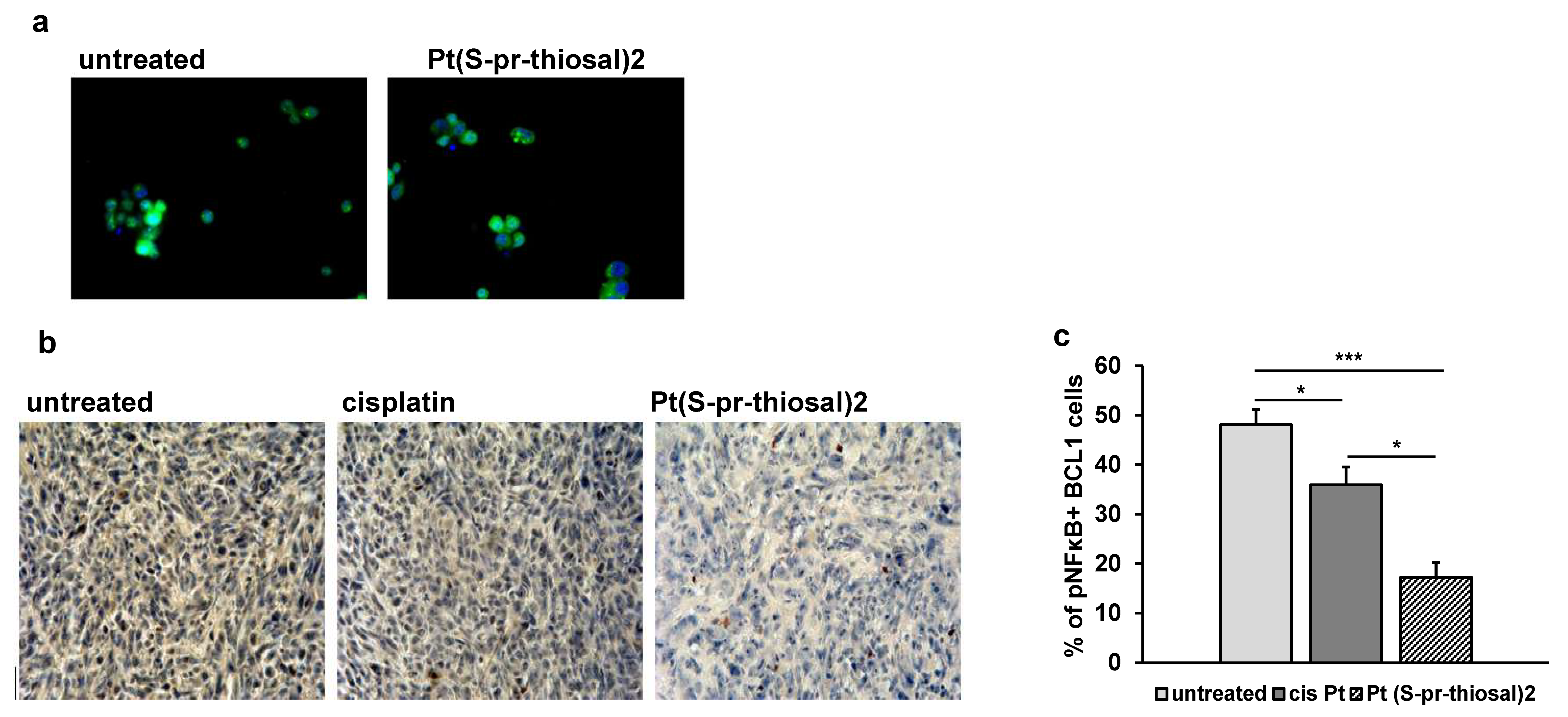 Ijms 23 08161 g007 Ijms 23 08161 g007