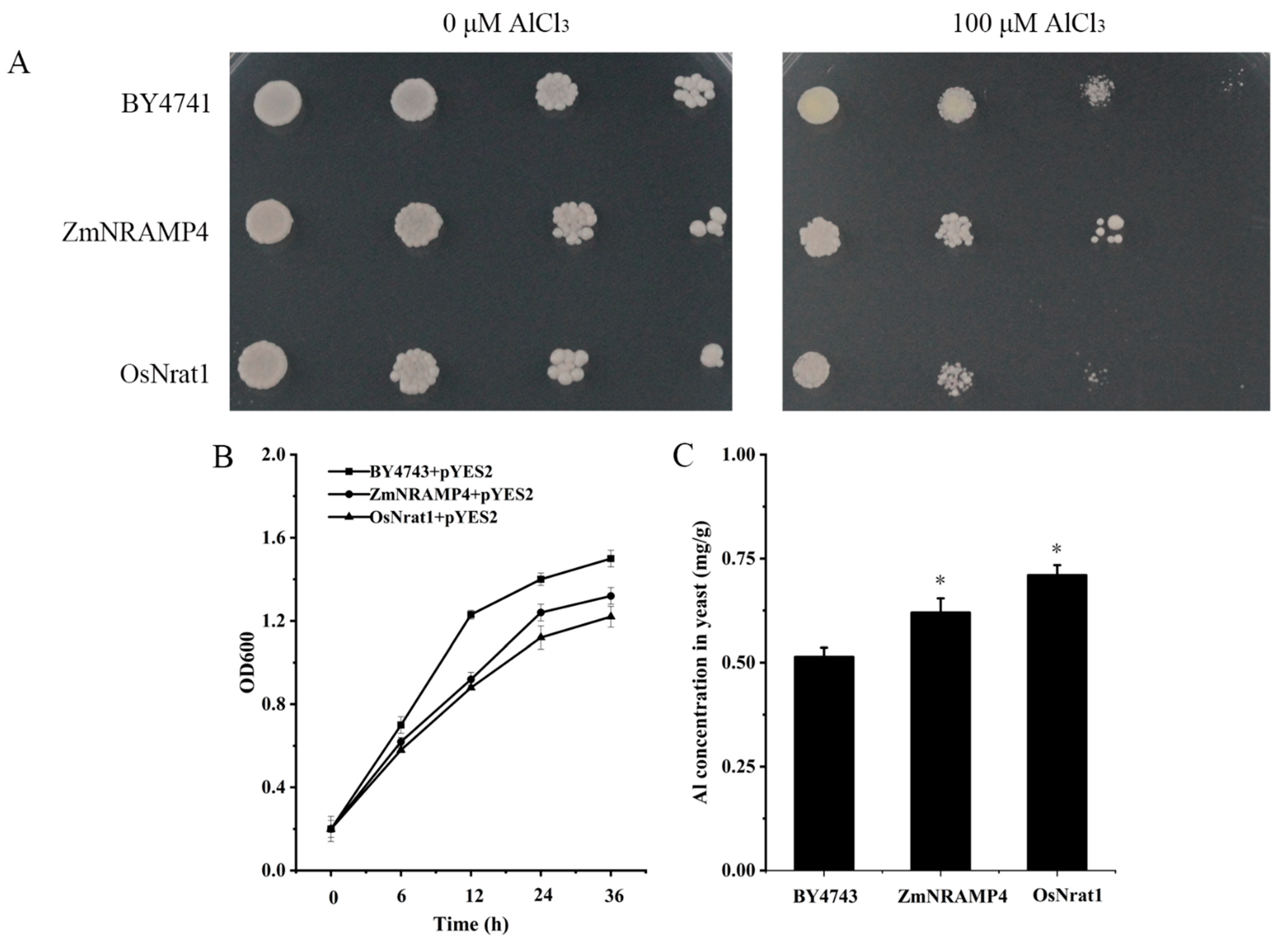 Ijms 23 08162 g004 550