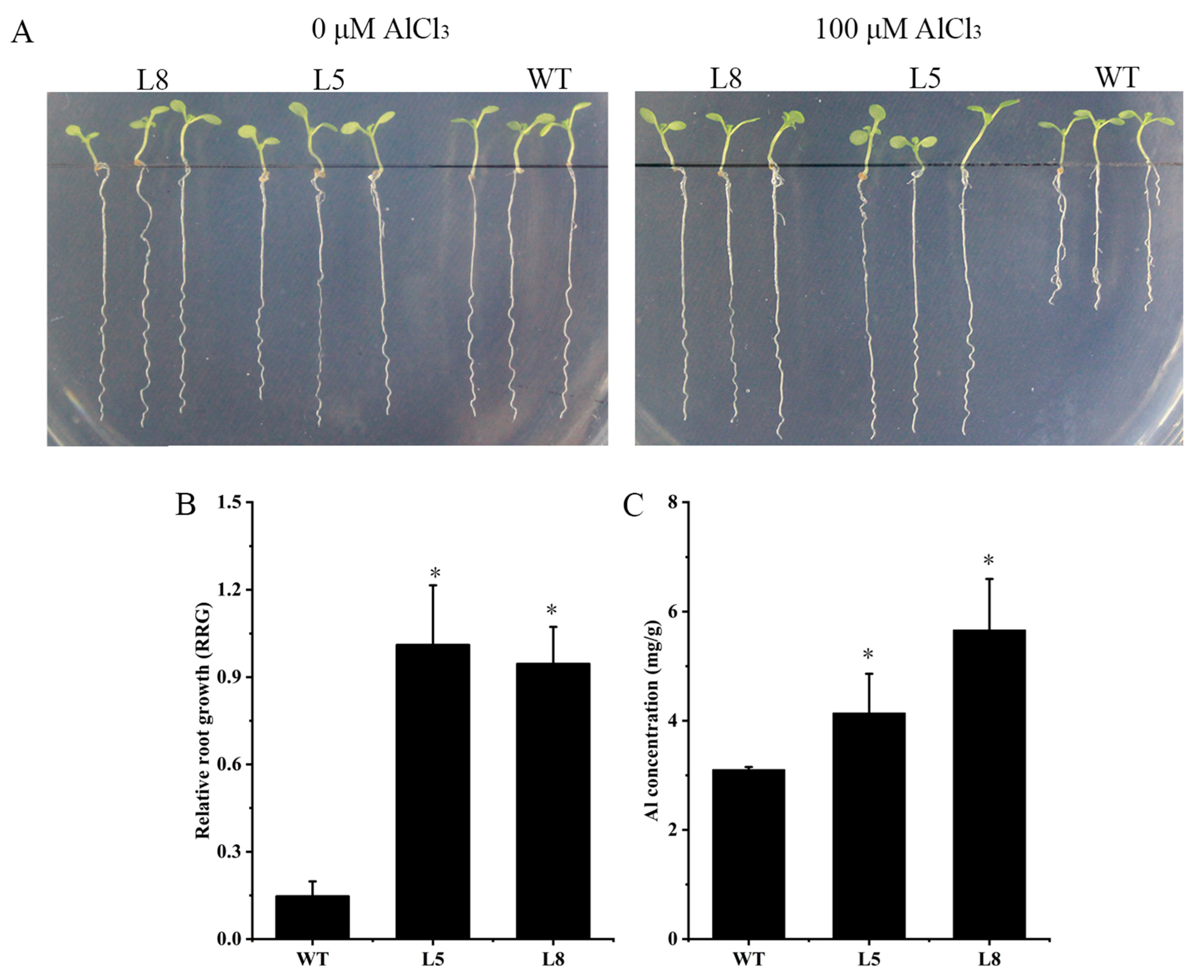 Ijms 23 08162 g005 550