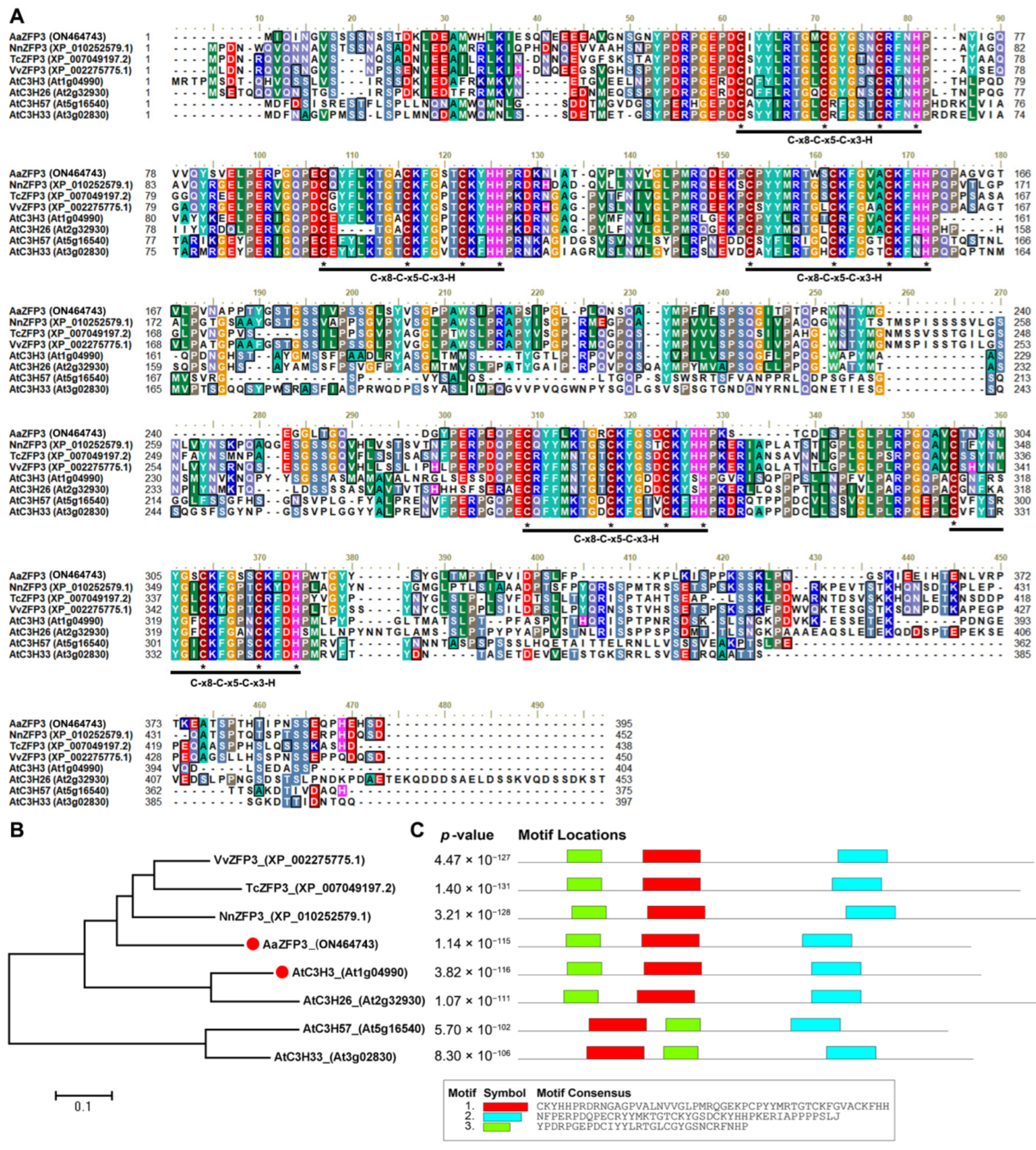 Ijms 23 08166 g001 550