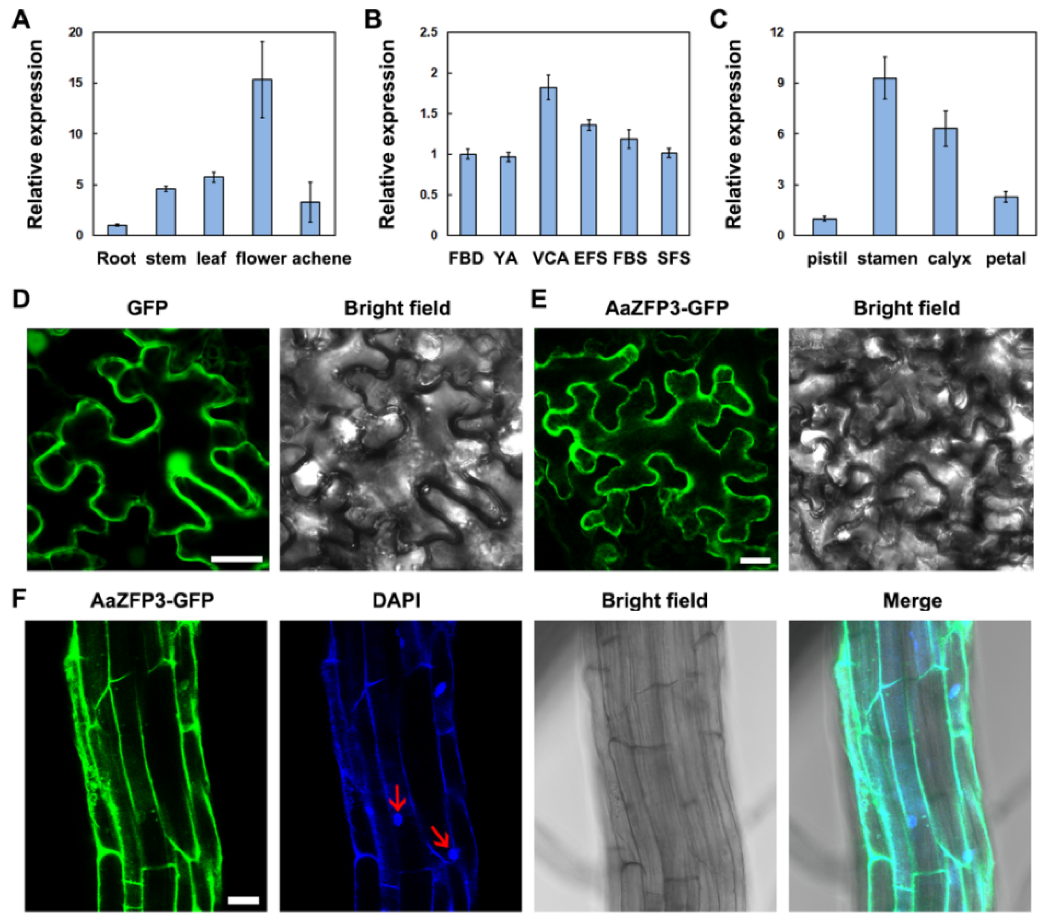 Ijms 23 08166 g002 550