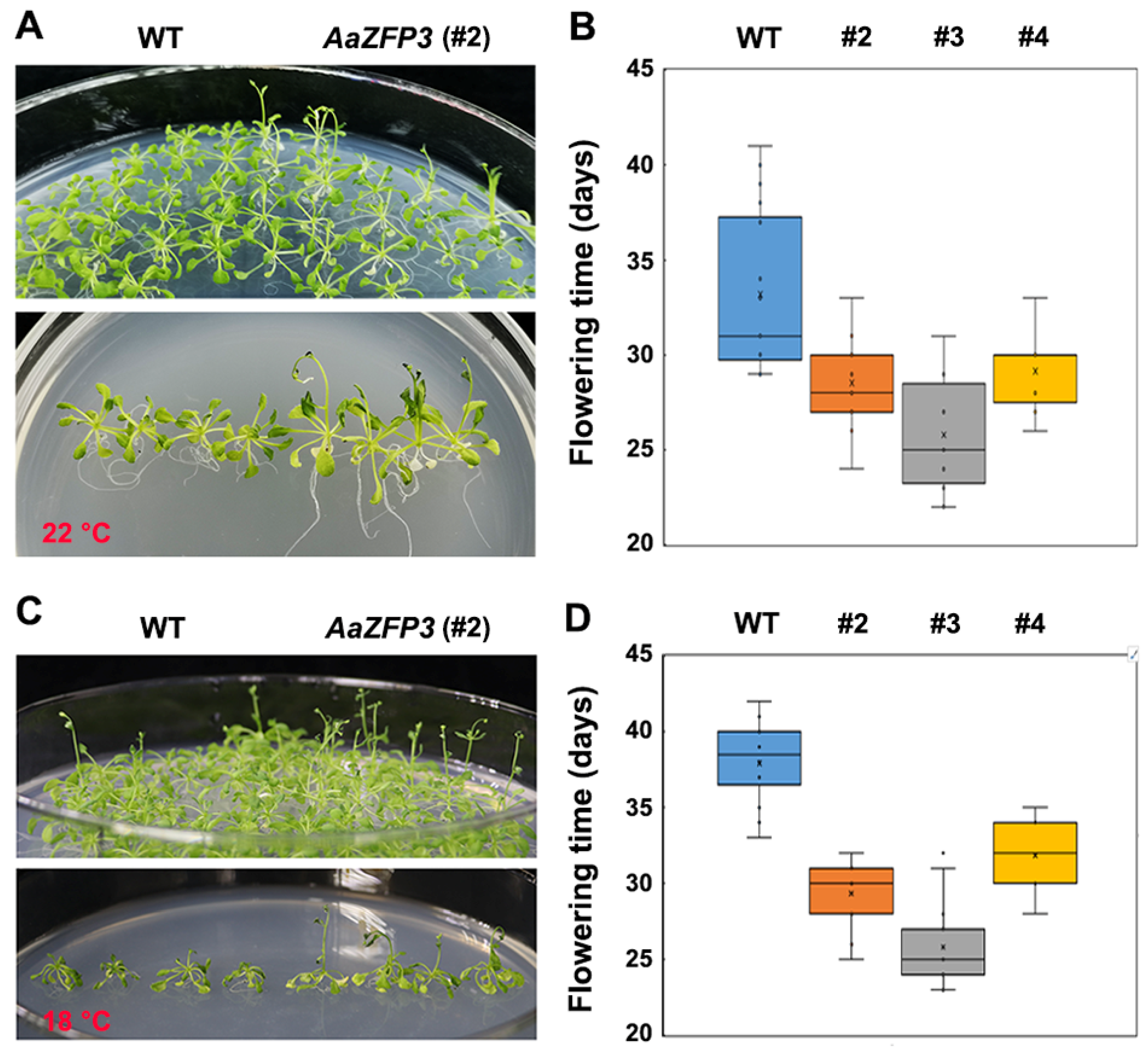 Ijms 23 08166 g004 550