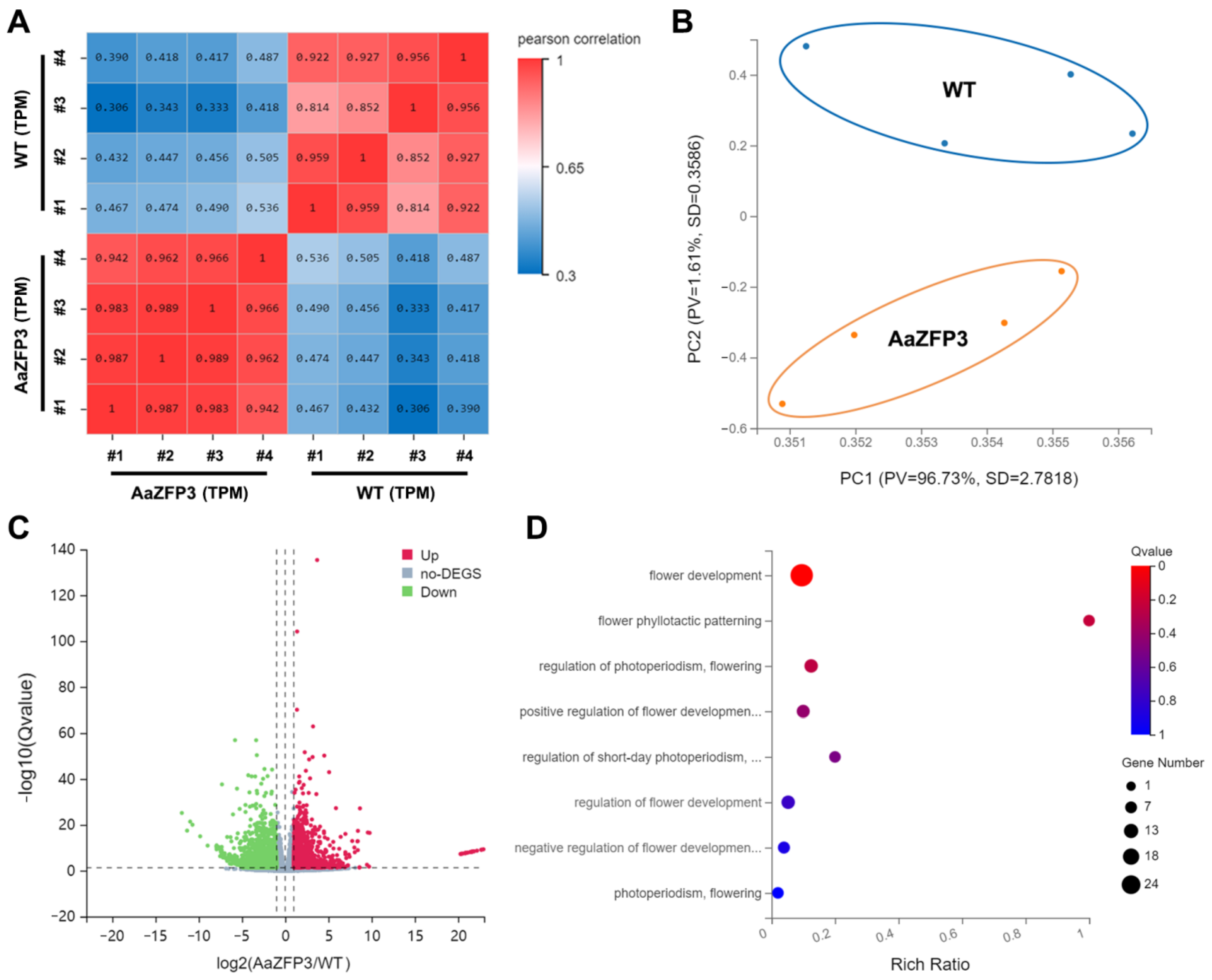 Ijms 23 08166 g005 550