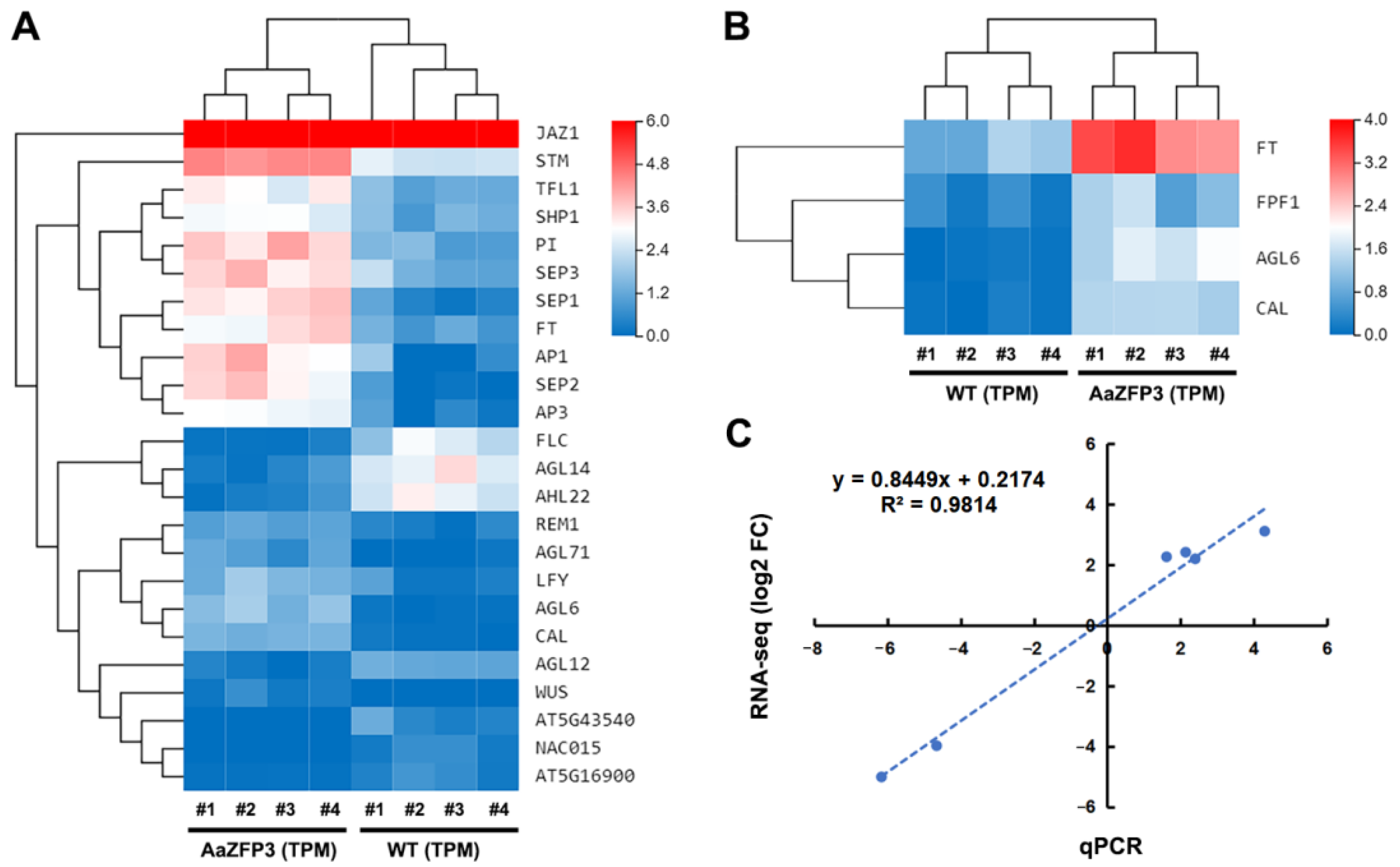 Ijms 23 08166 g006 550