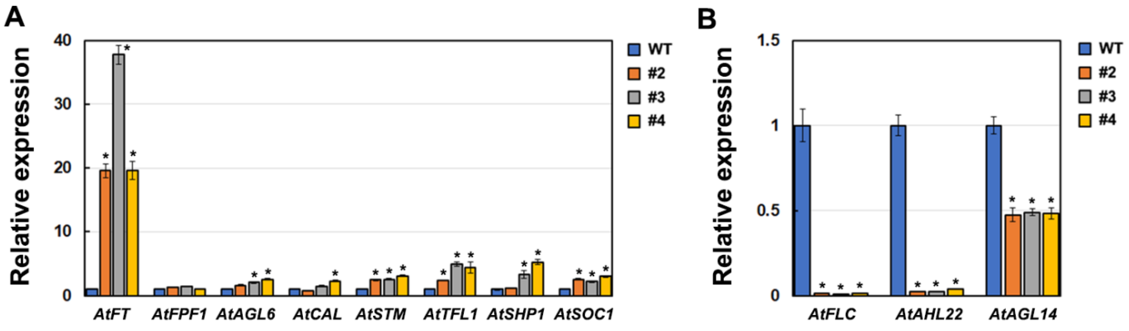 Ijms 23 08166 g007 550
