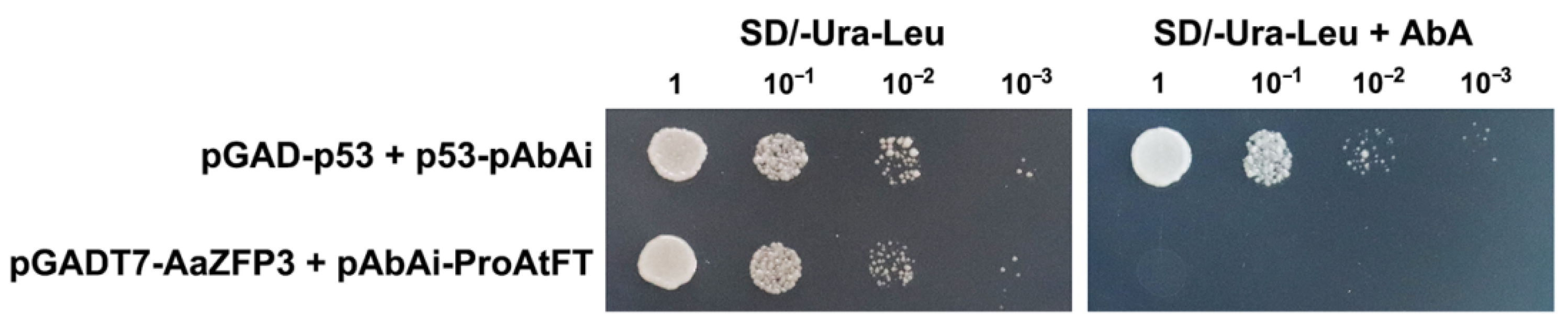 Ijms 23 08166 g008 550