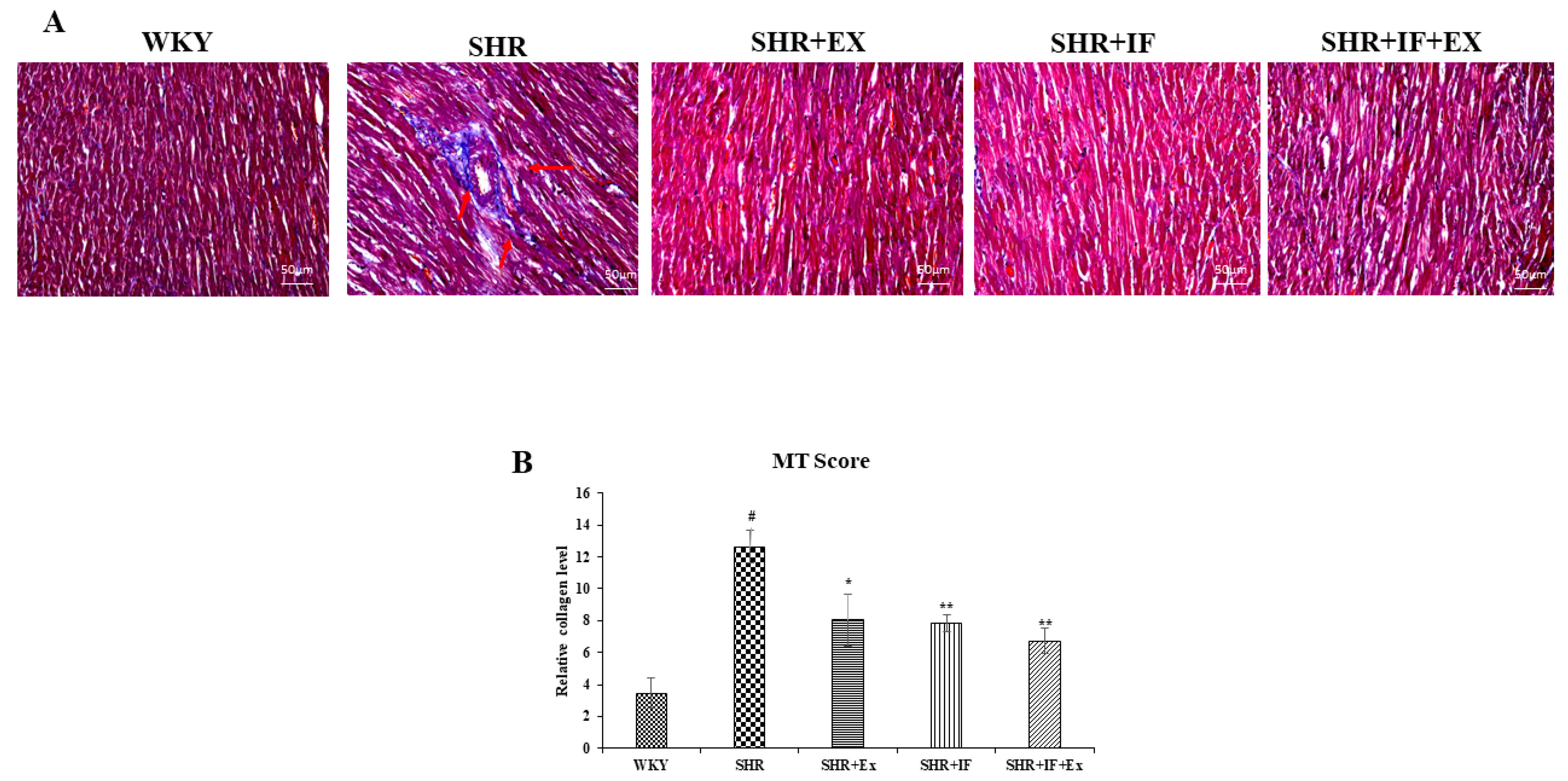 Ijms 23 08167 g004 550