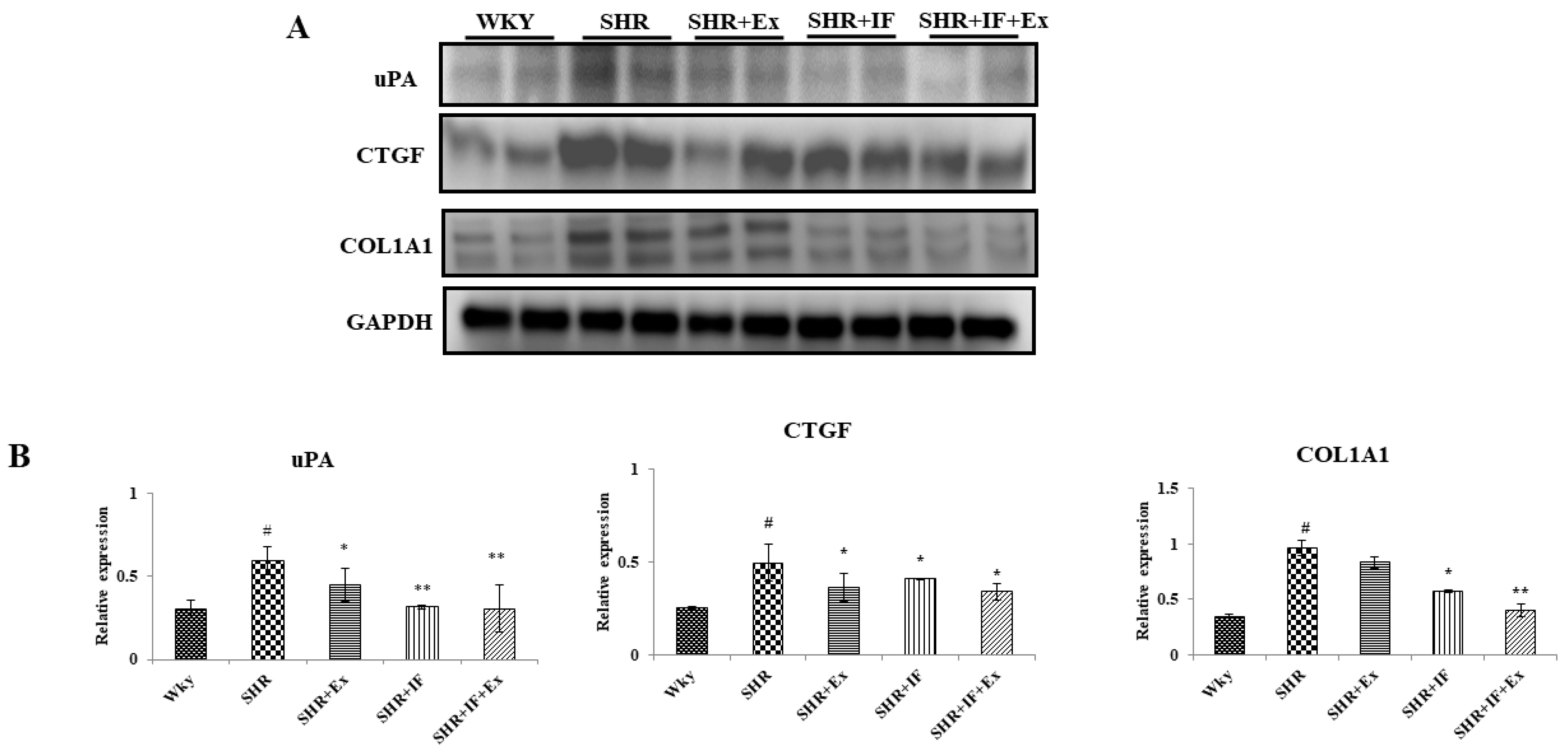 Ijms 23 08167 g005 550