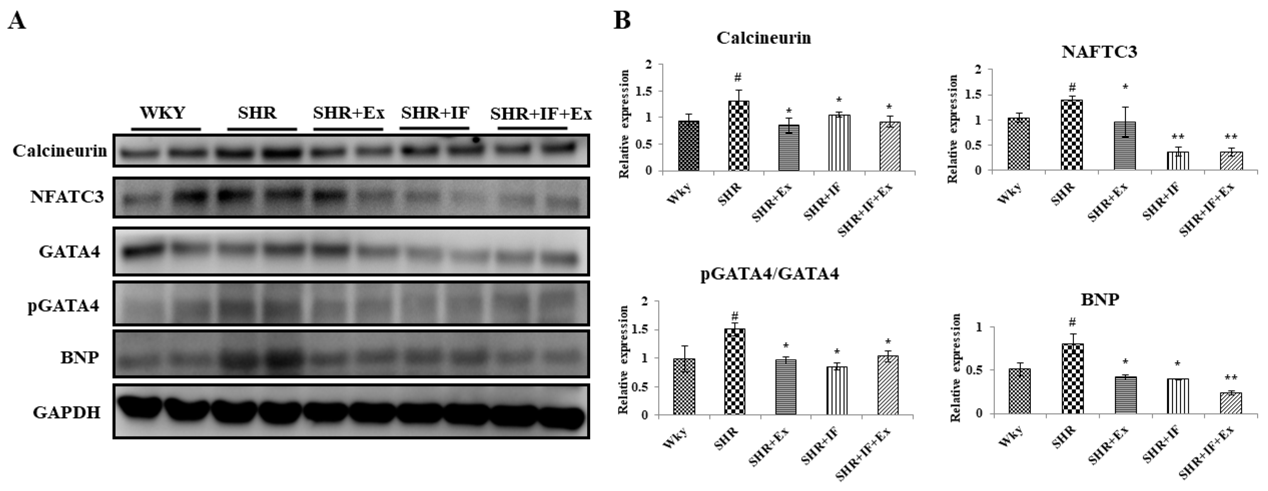 Ijms 23 08167 g006 550