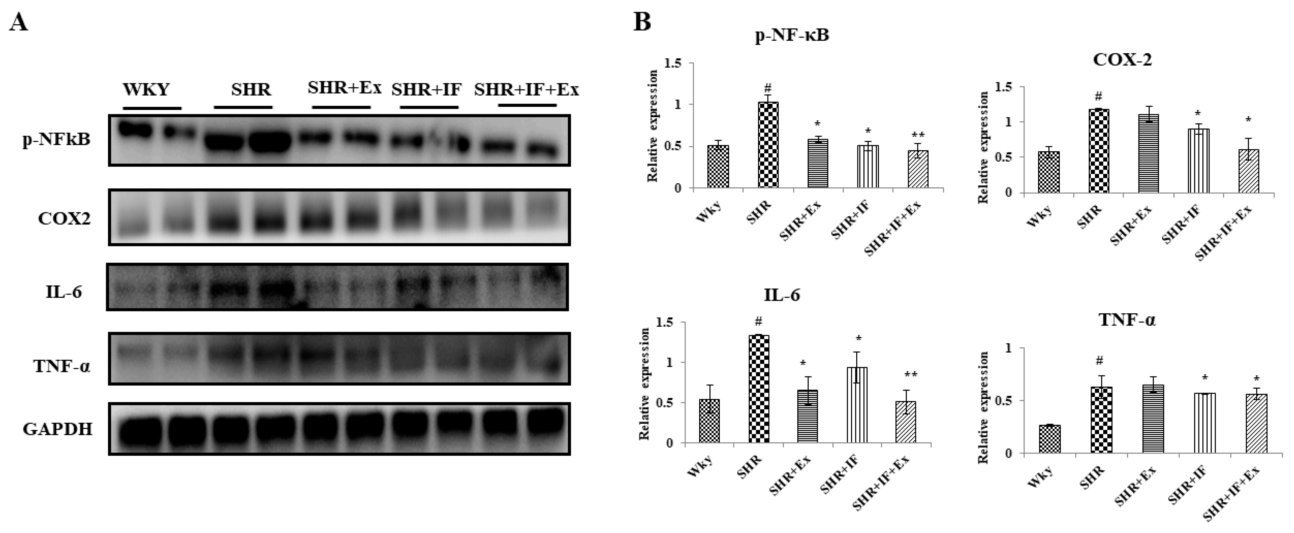 Ijms 23 08167 g007 550