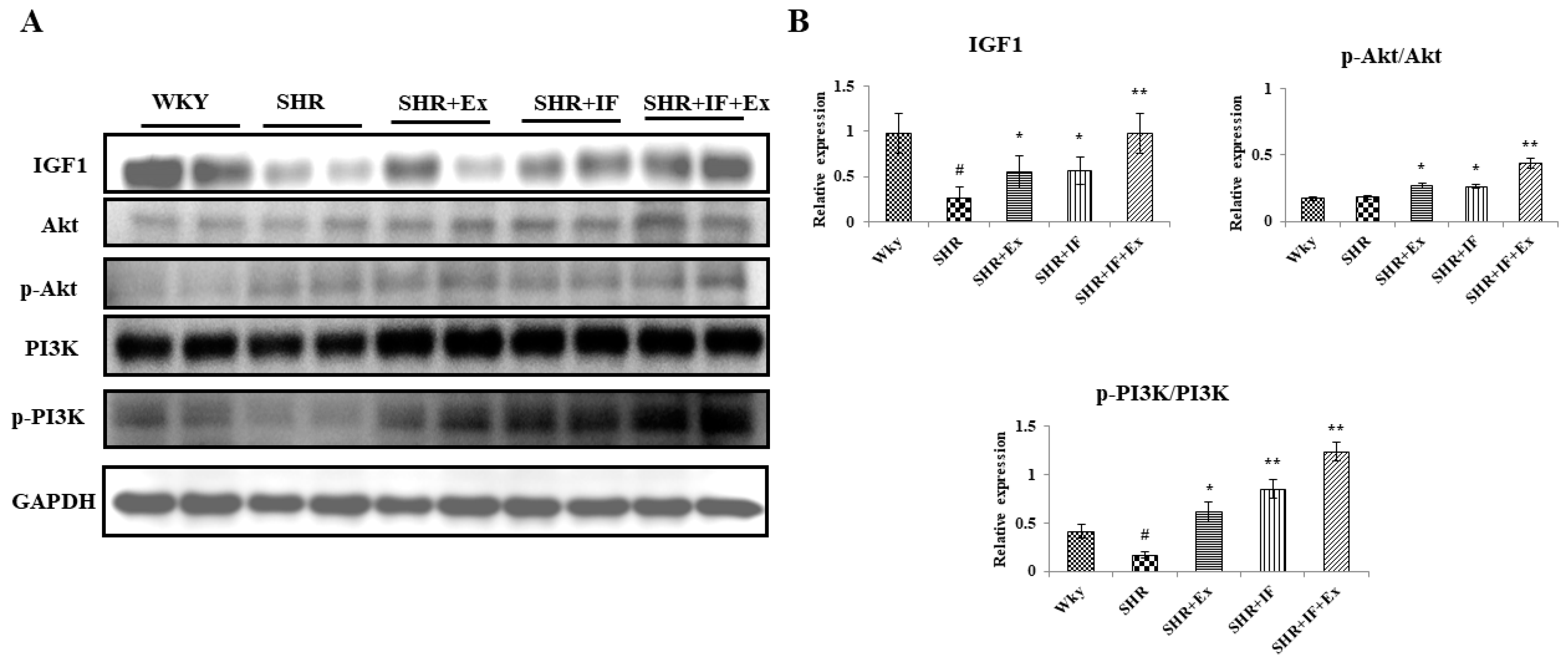 Ijms 23 08167 g008 550