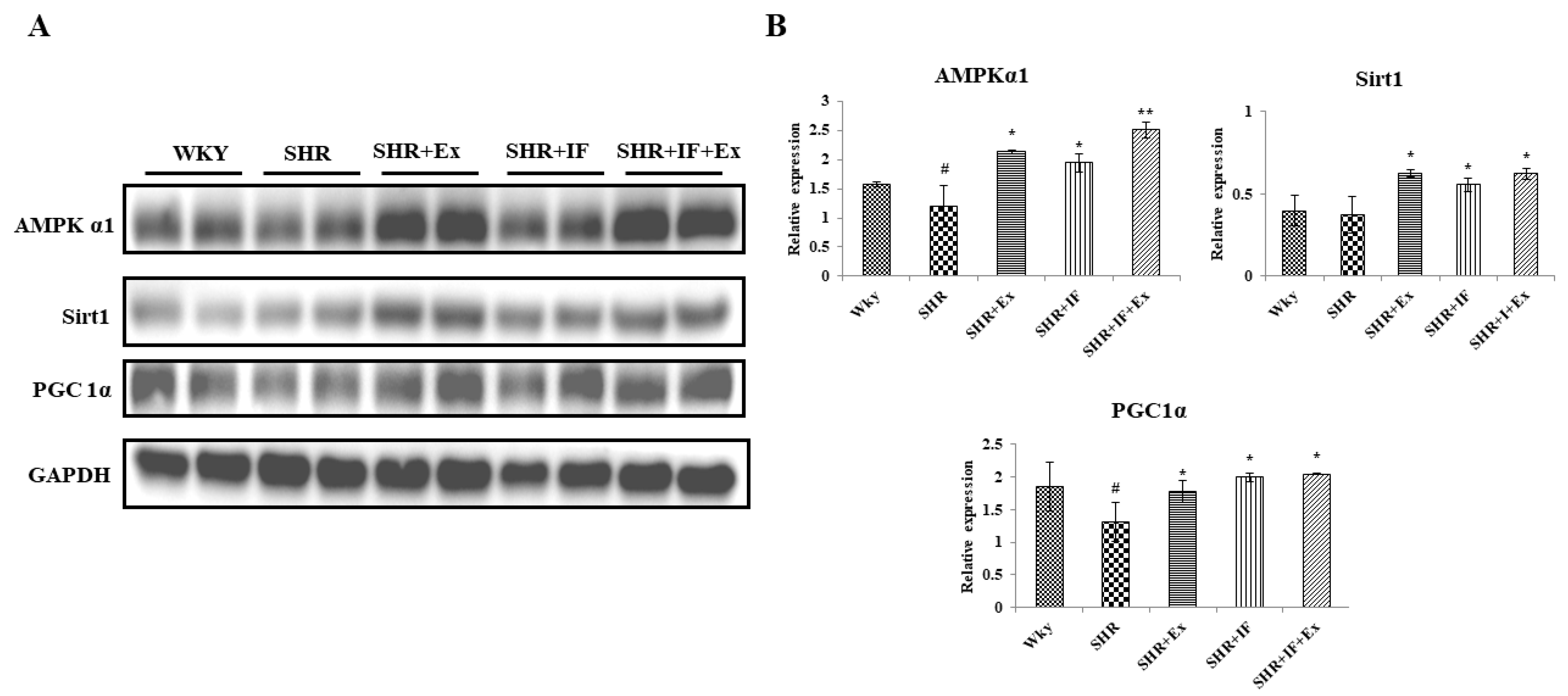 Ijms 23 08167 g009 550