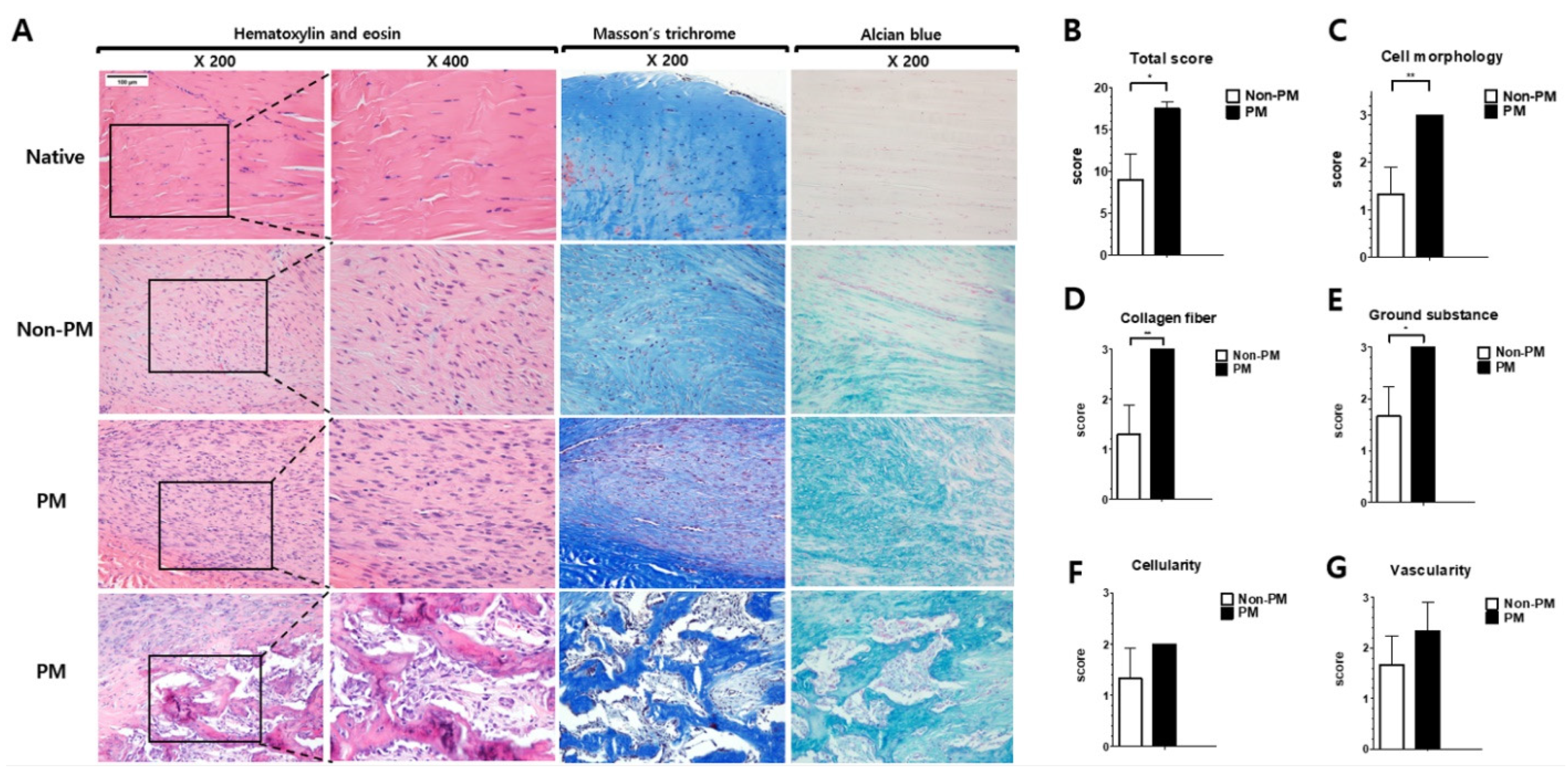 Ijms 23 08170 g002 550