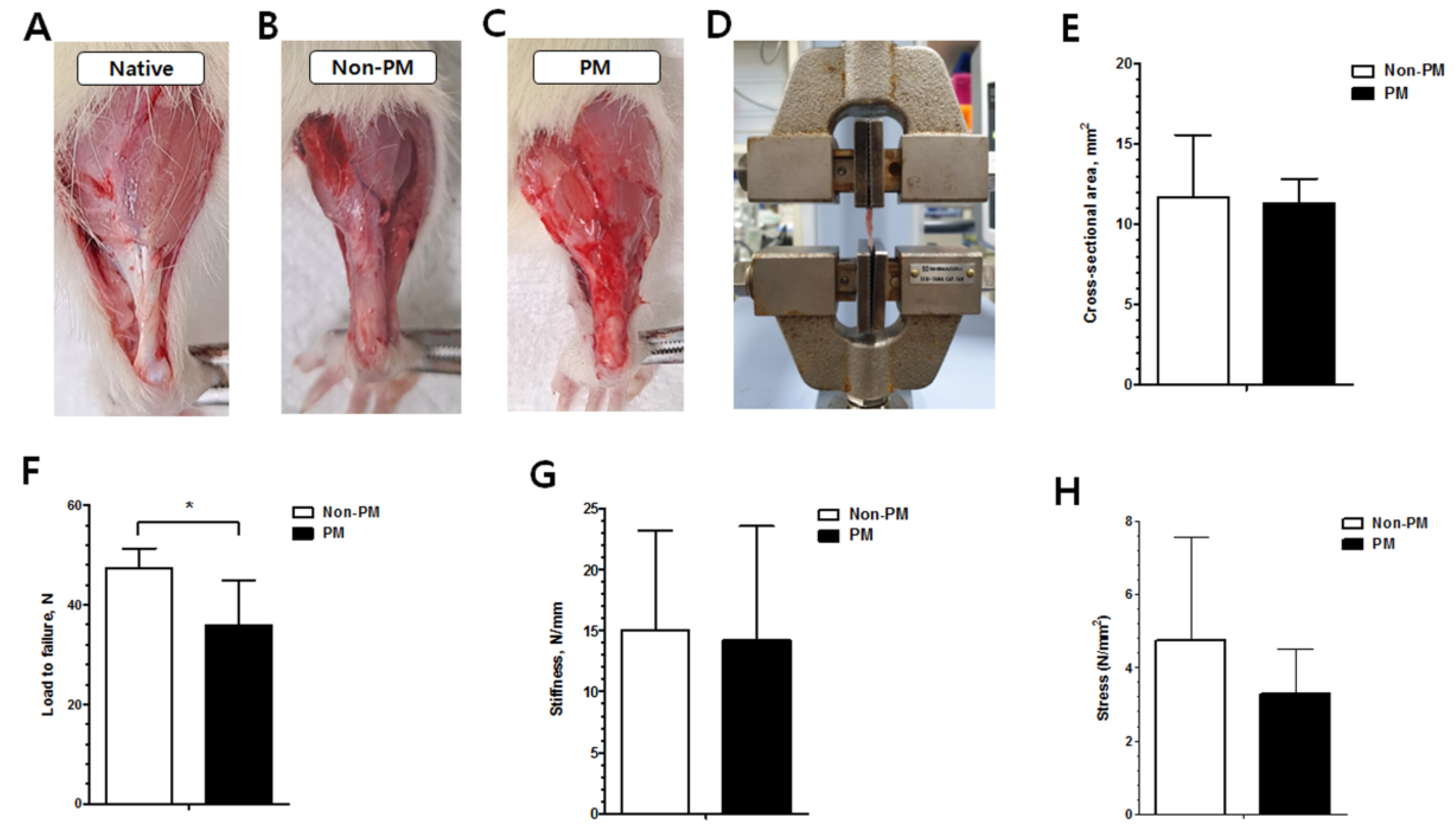 Ijms 23 08170 g004 550
