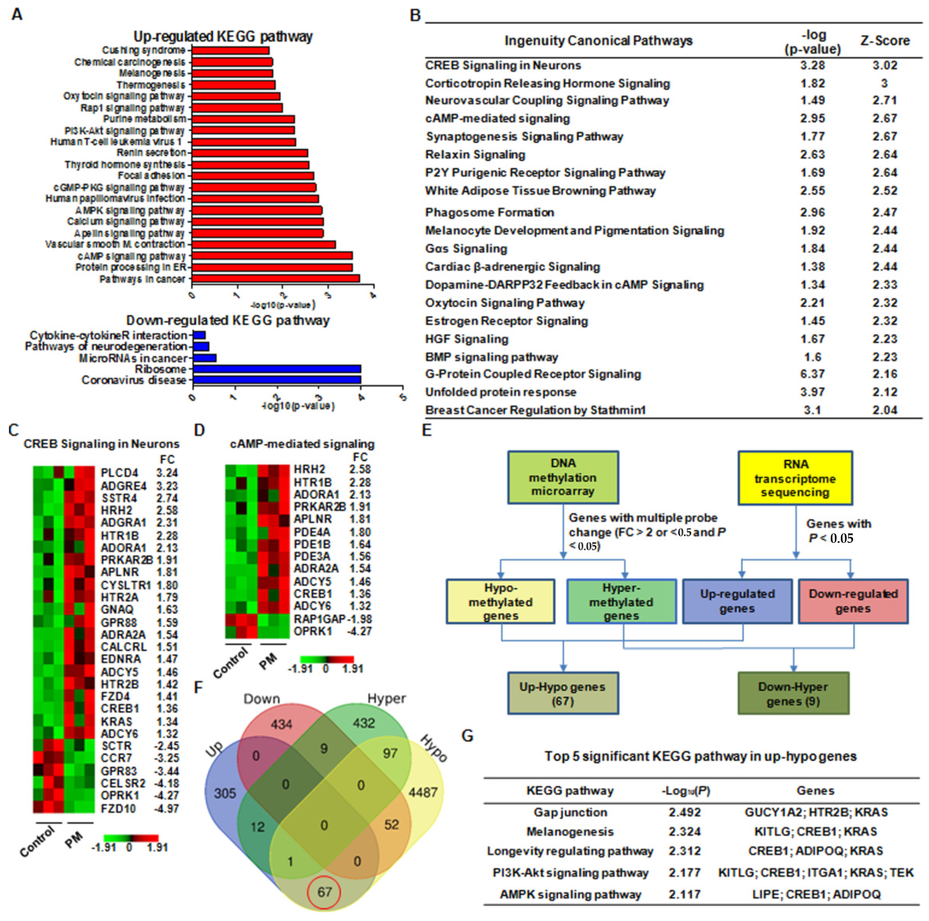 Ijms 23 08170 g005 550