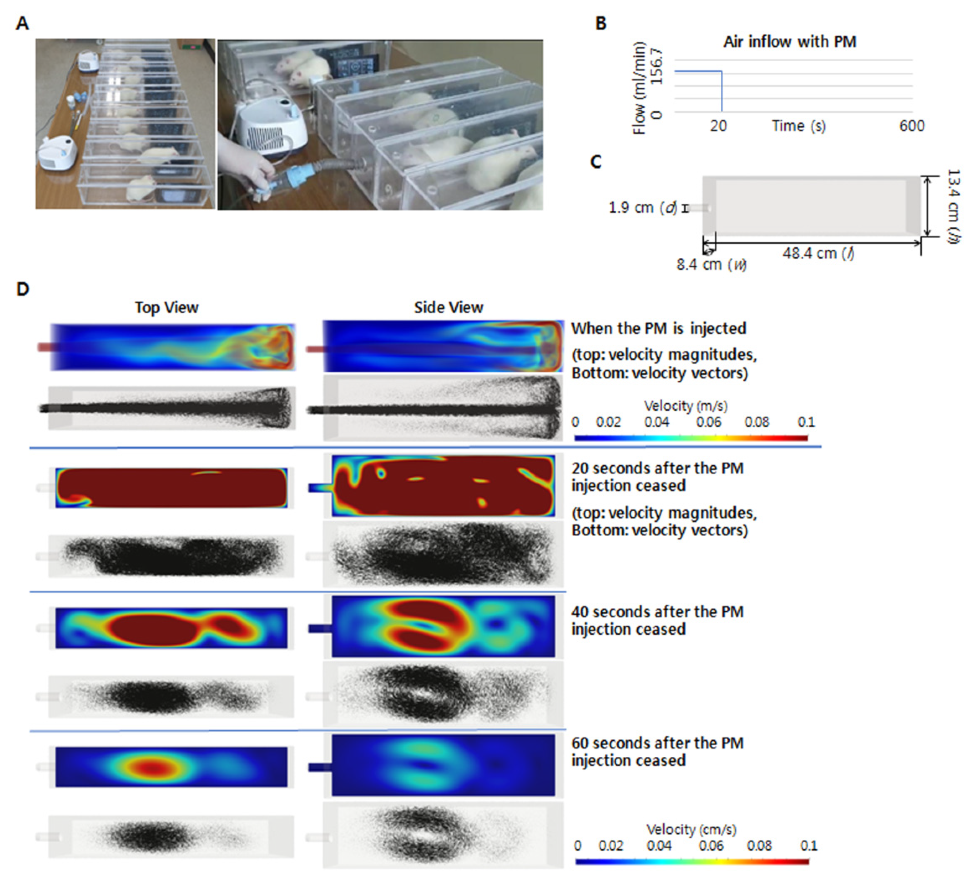 Ijms 23 08170 g008 550