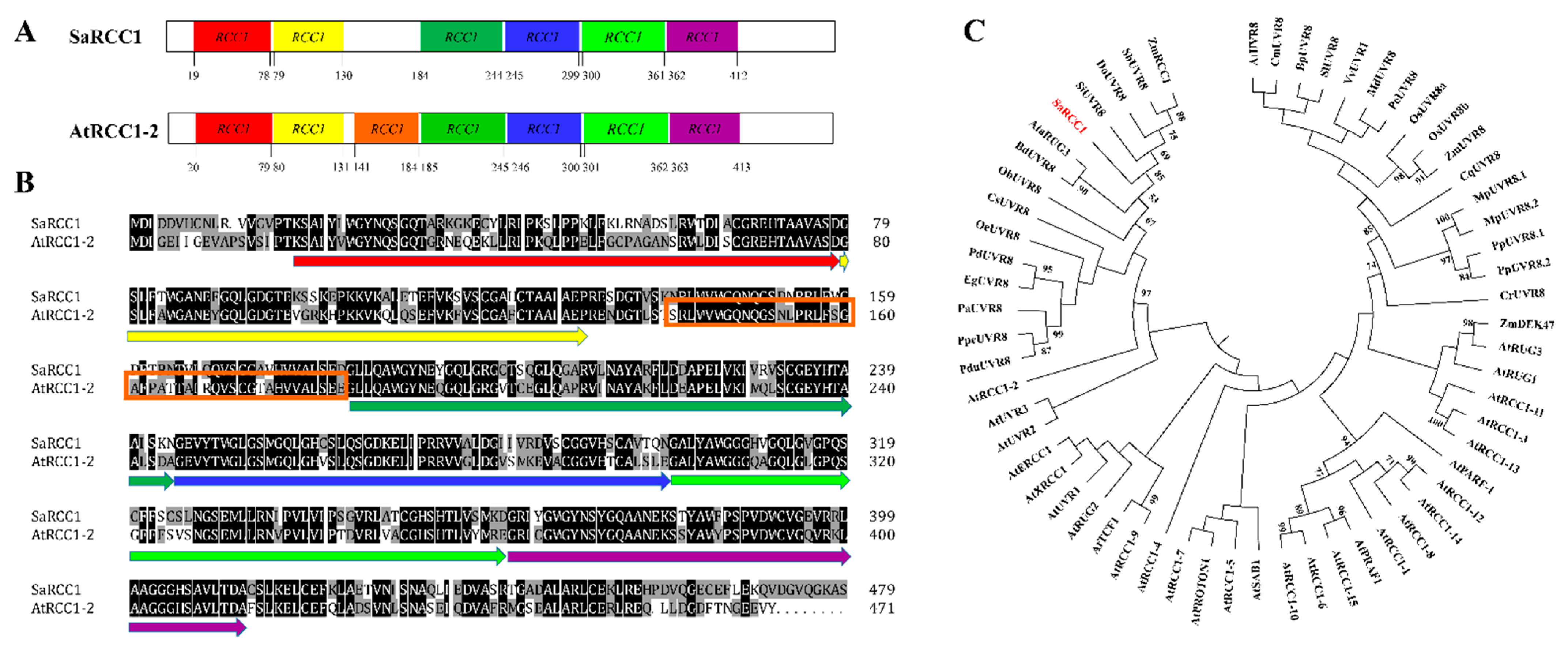 Ijms 23 08172 g001 Ijms 23 08172 g001