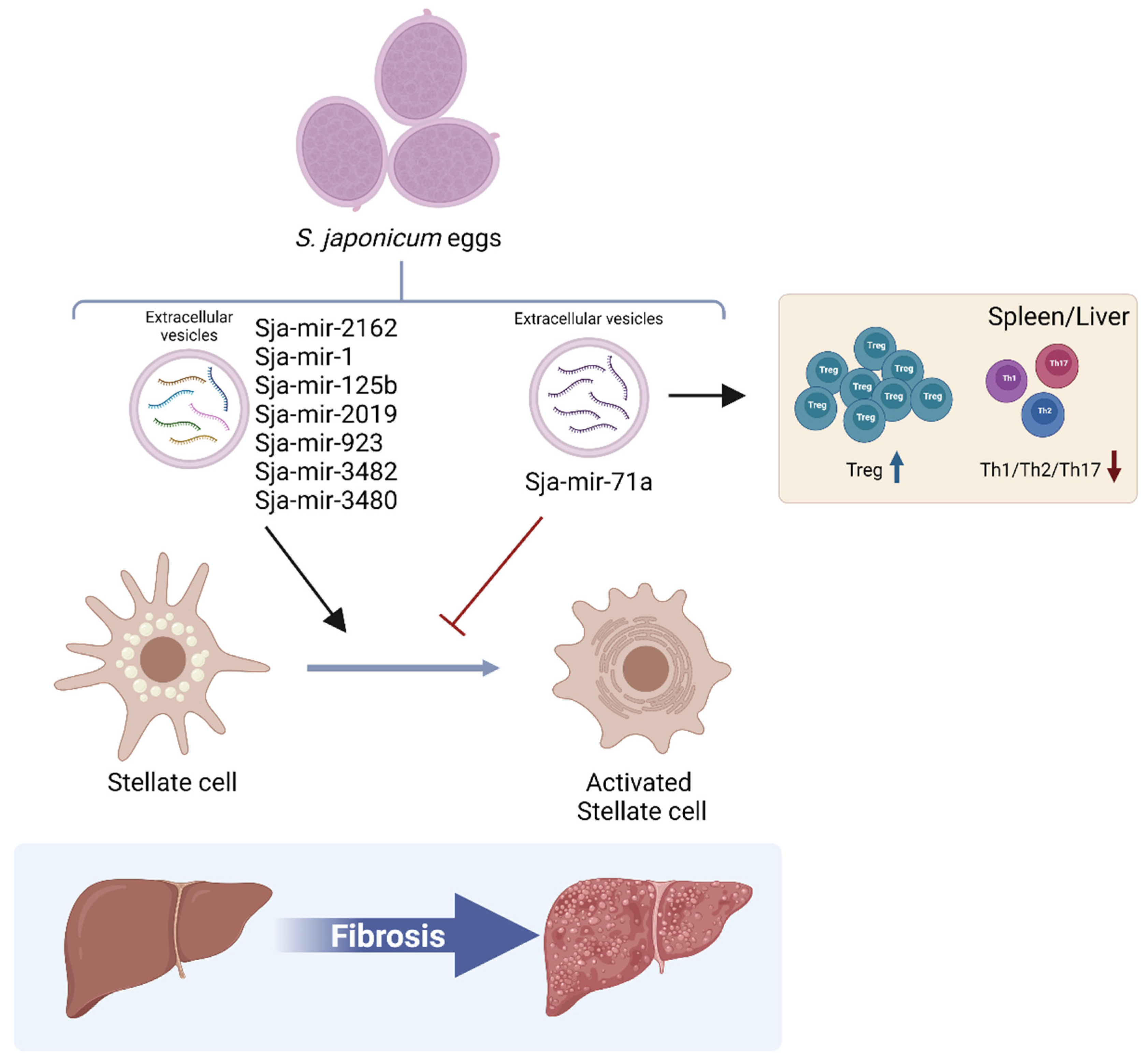 Ijms 23 08173 g002 550