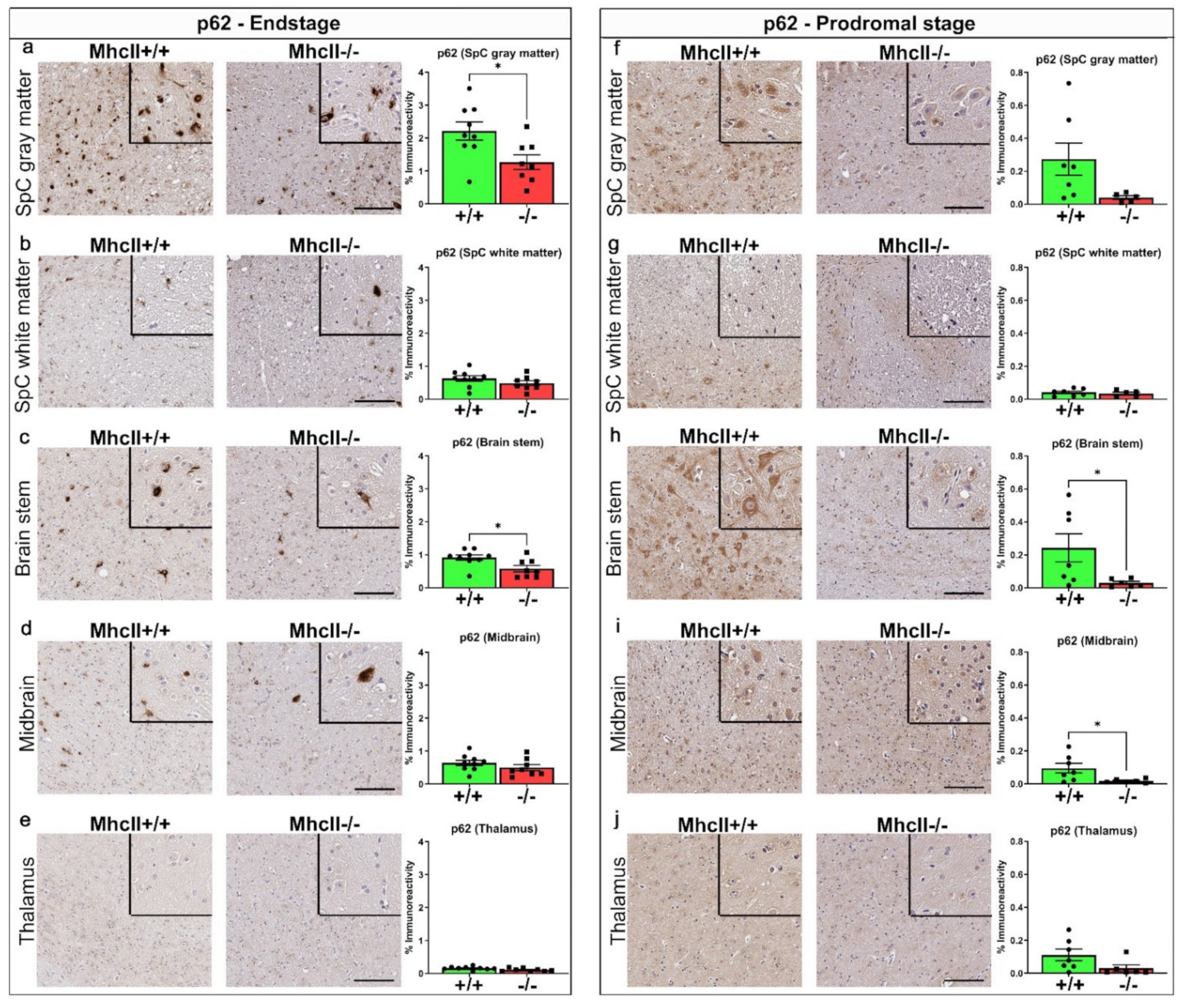 Ijms 23 08175 g003 550