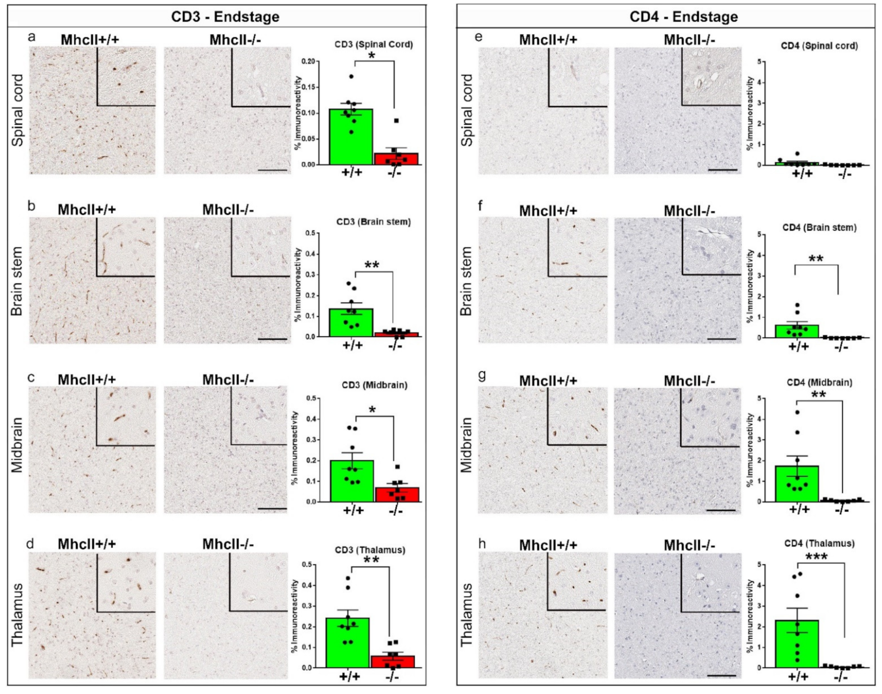 Ijms 23 08175 g004 550
