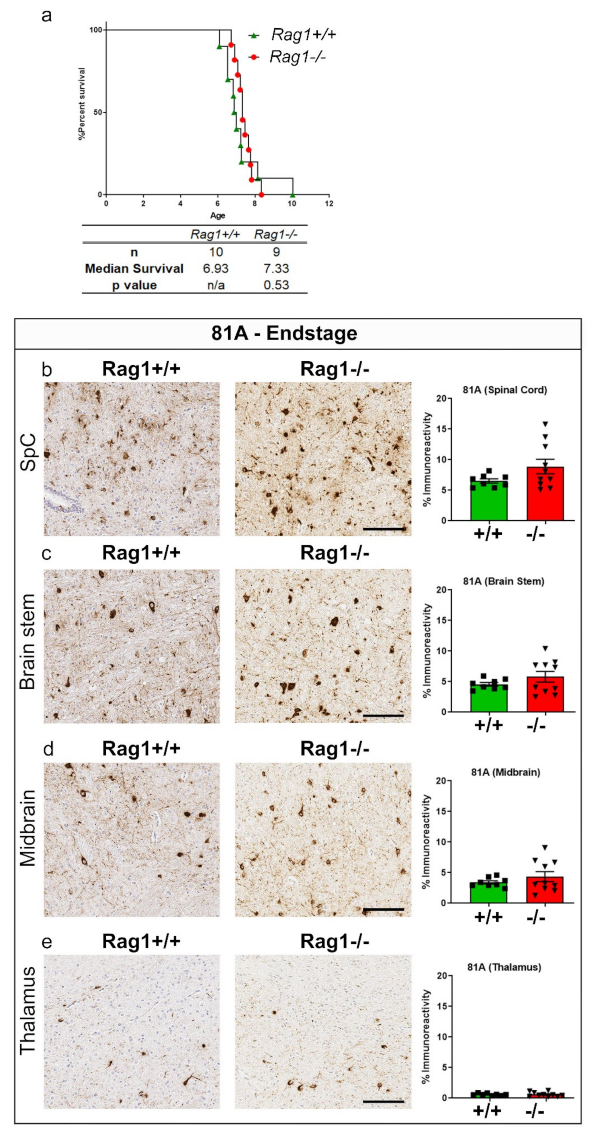 Ijms 23 08175 g005 550