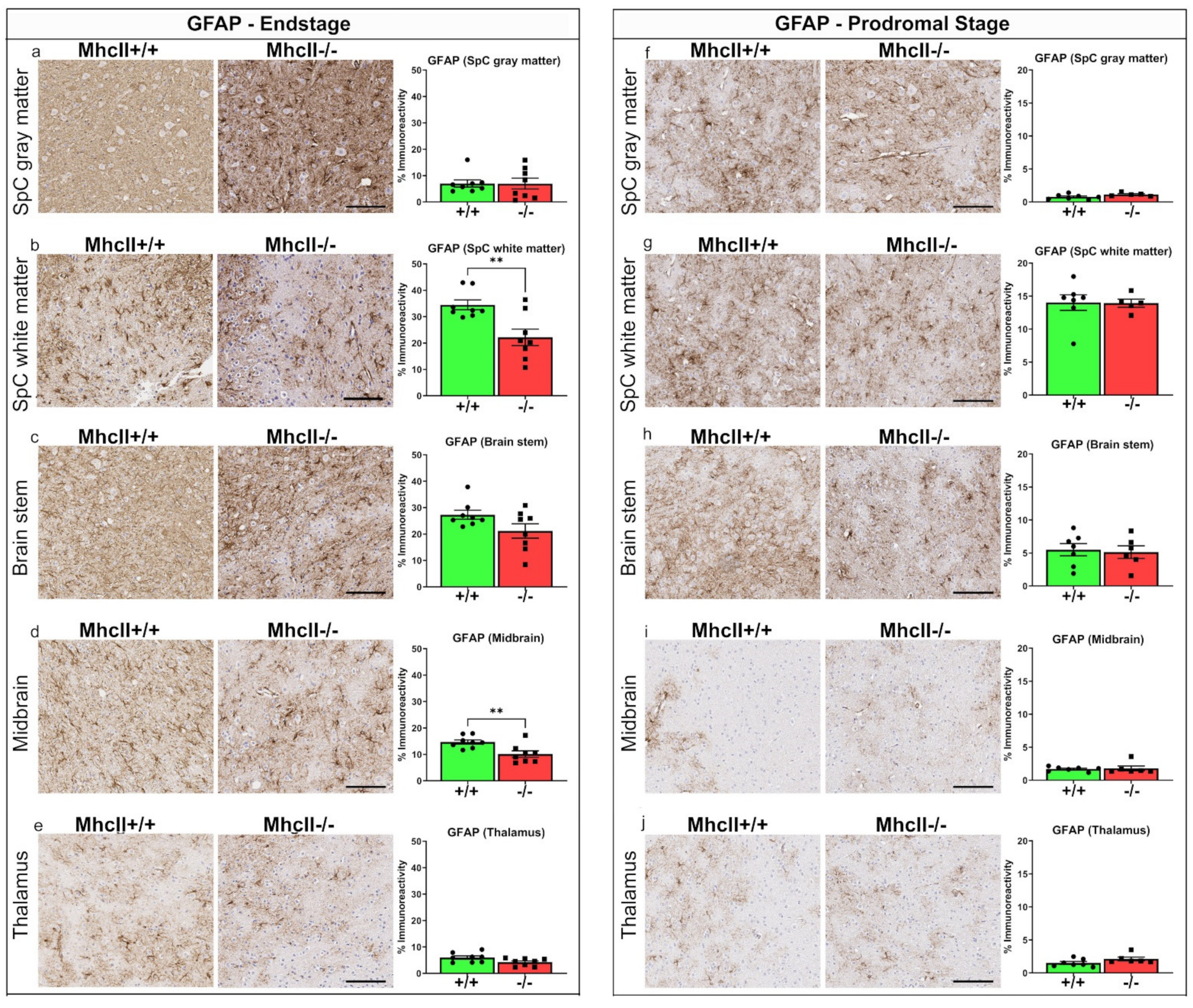 Ijms 23 08175 g008 550