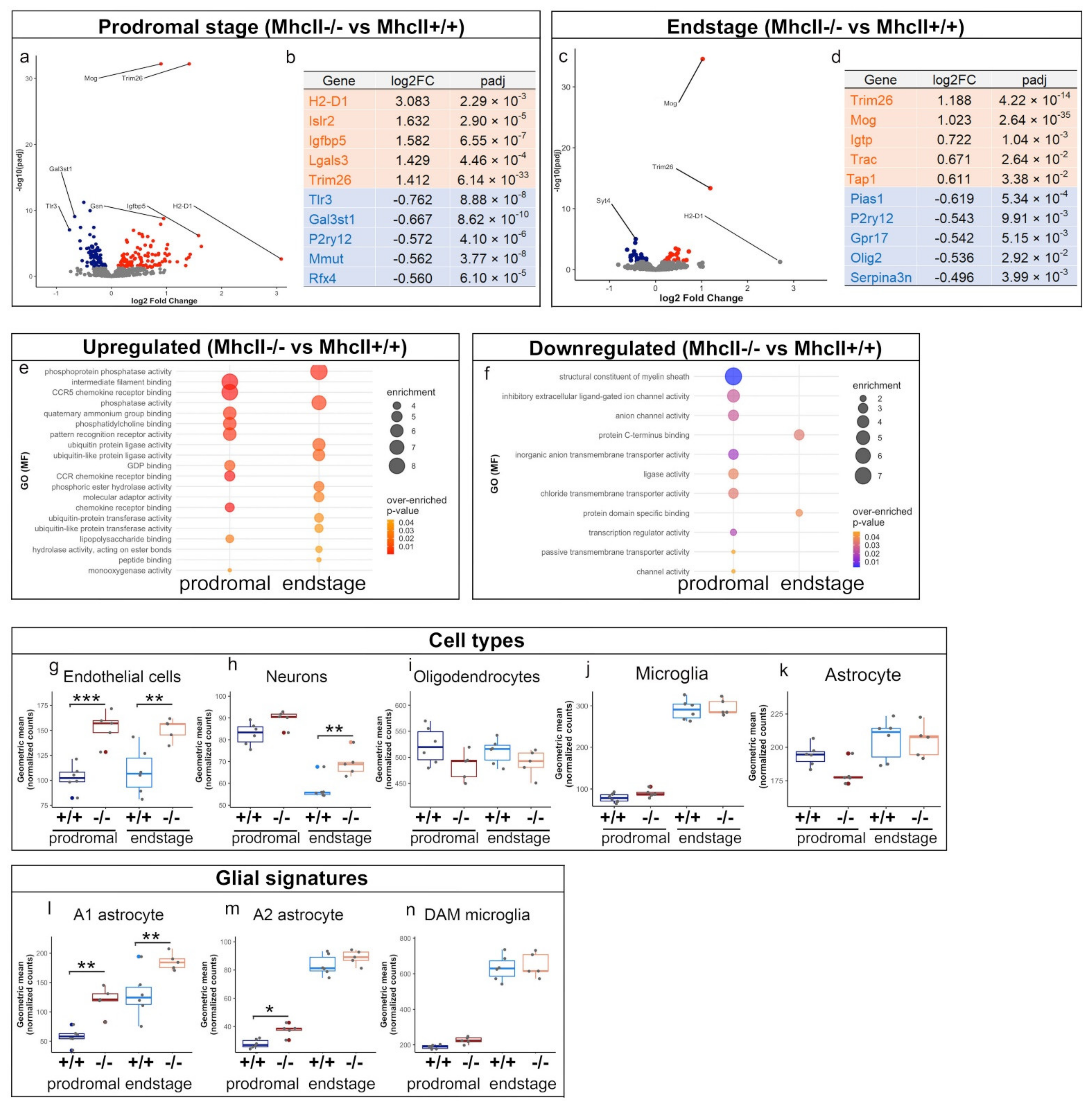 Ijms 23 08175 g009 550