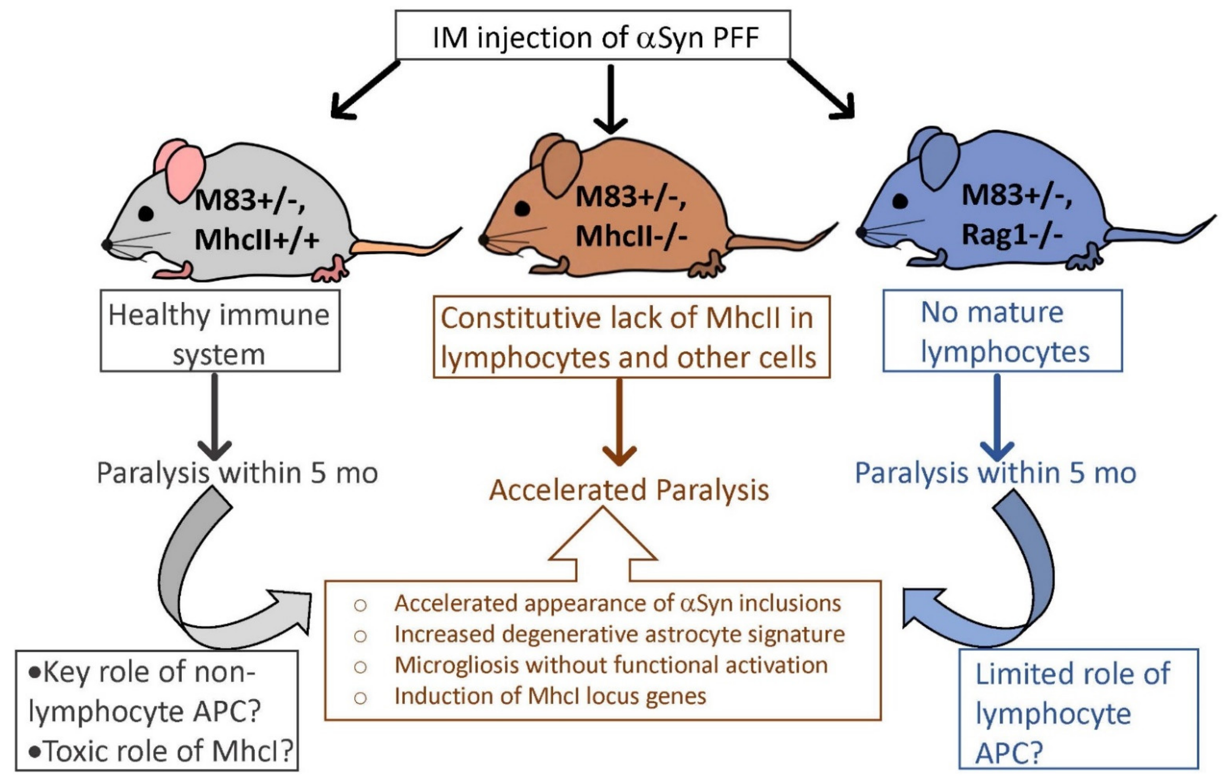 Ijms 23 08175 g010 550