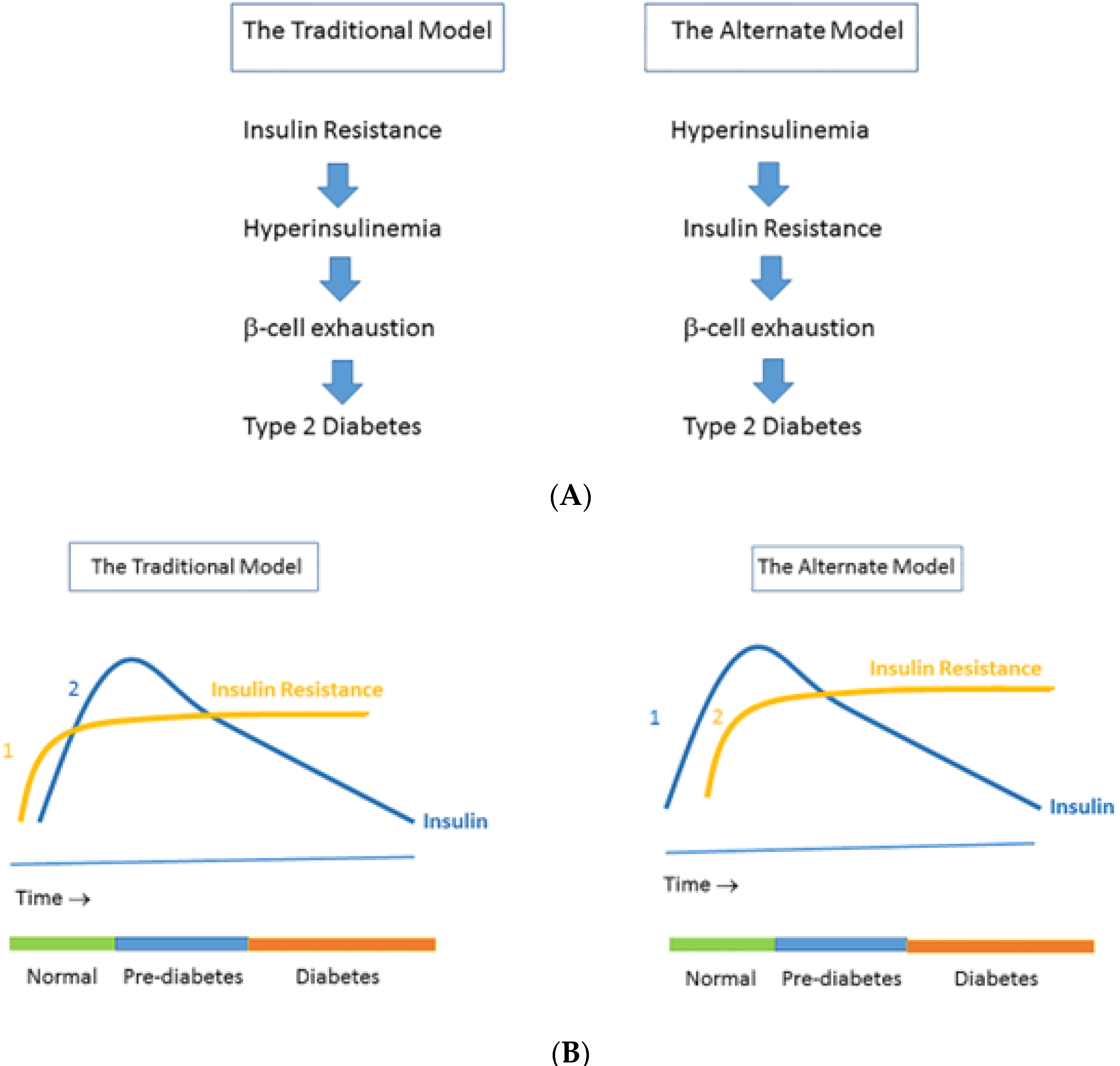 Ijms 23 08178 g001 Ijms 23 08178 g001