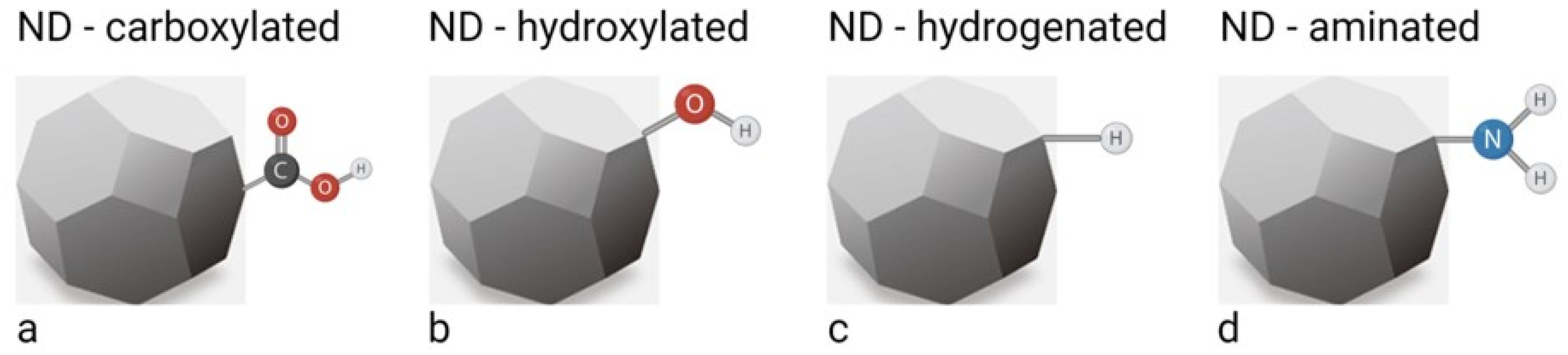 Ijms 23 08183 g001 550